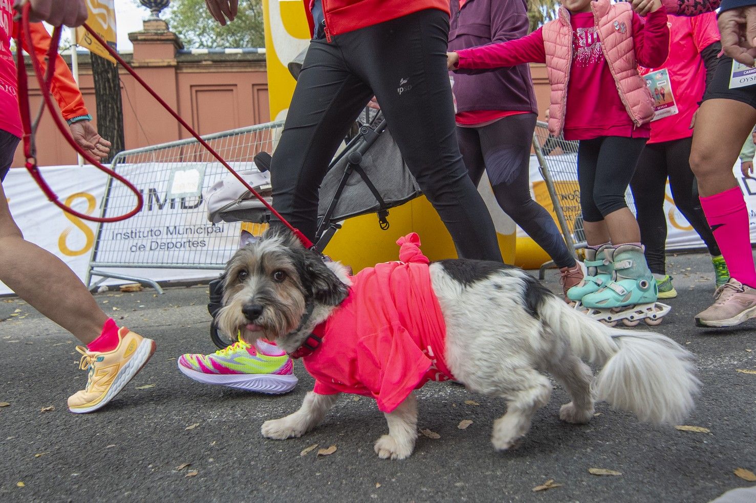 Las mejores fotos de la Carrera de la Mujer de Sevilla 2024. 127.