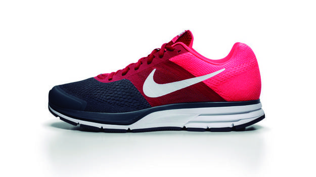 Nike Pegasus del 2013