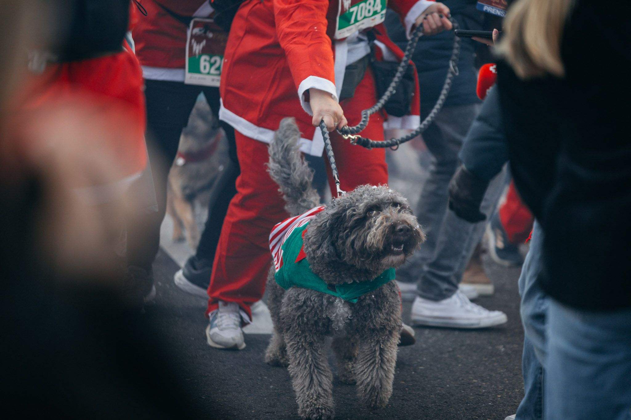 Las mejores fotos de la Carrera de Papá Noel 2024   PREVIA Y SALIDA. (168)