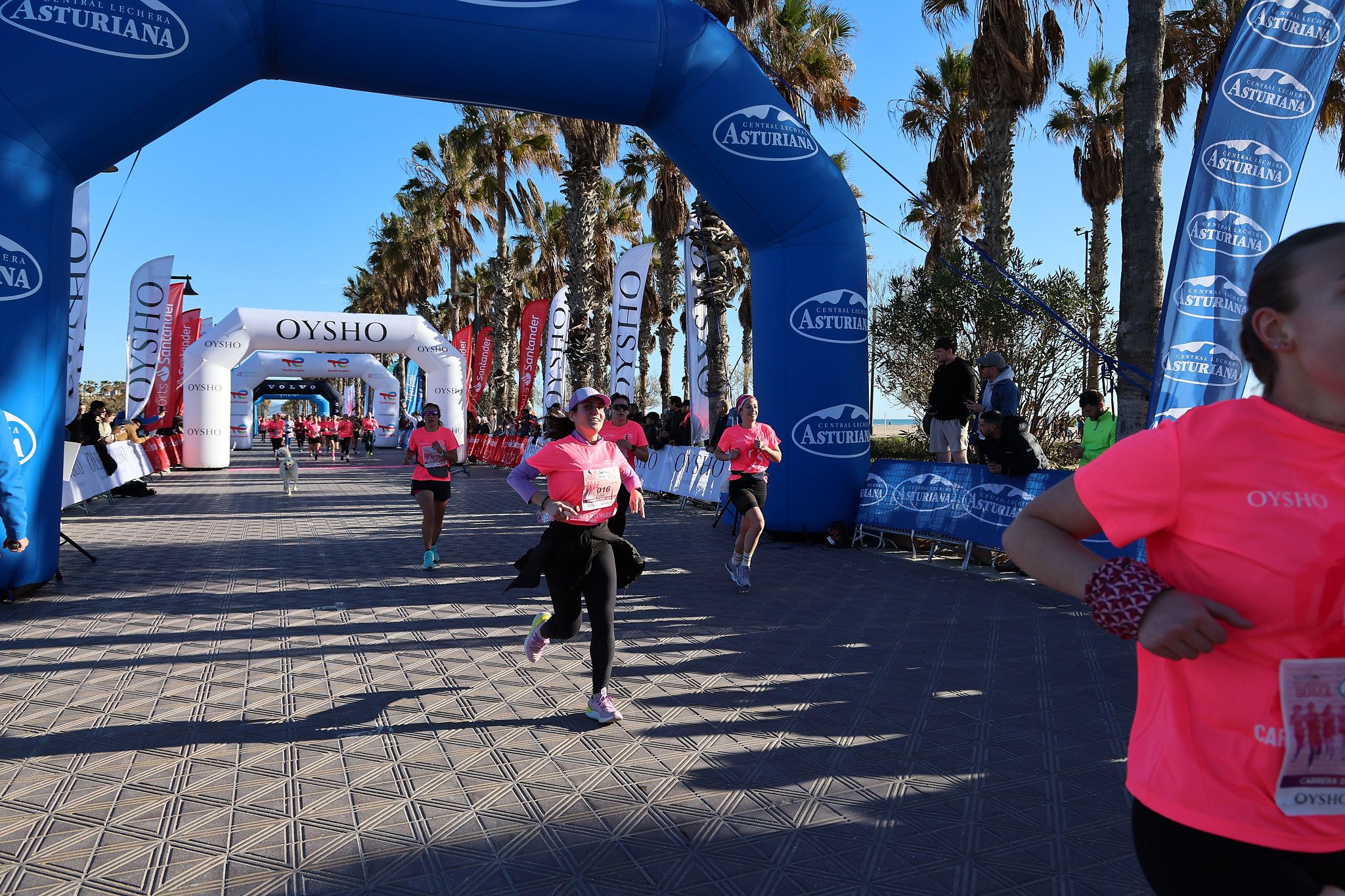 Las mejores fotos de la Carrera de la Mujer Central Lechera Asturiana de Valencia 2025. 507