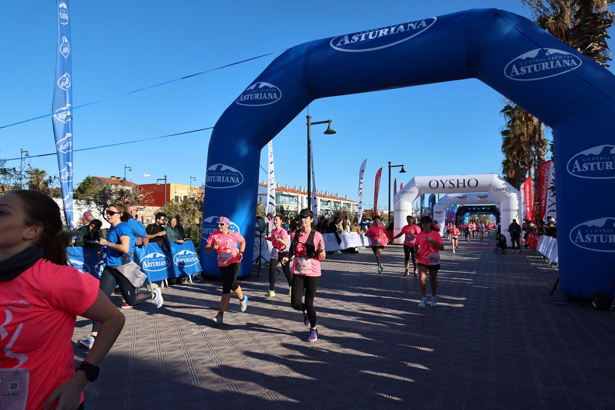 Las mejores fotos de la Carrera de la Mujer Central Lechera Asturiana de Valencia 2025. 523
