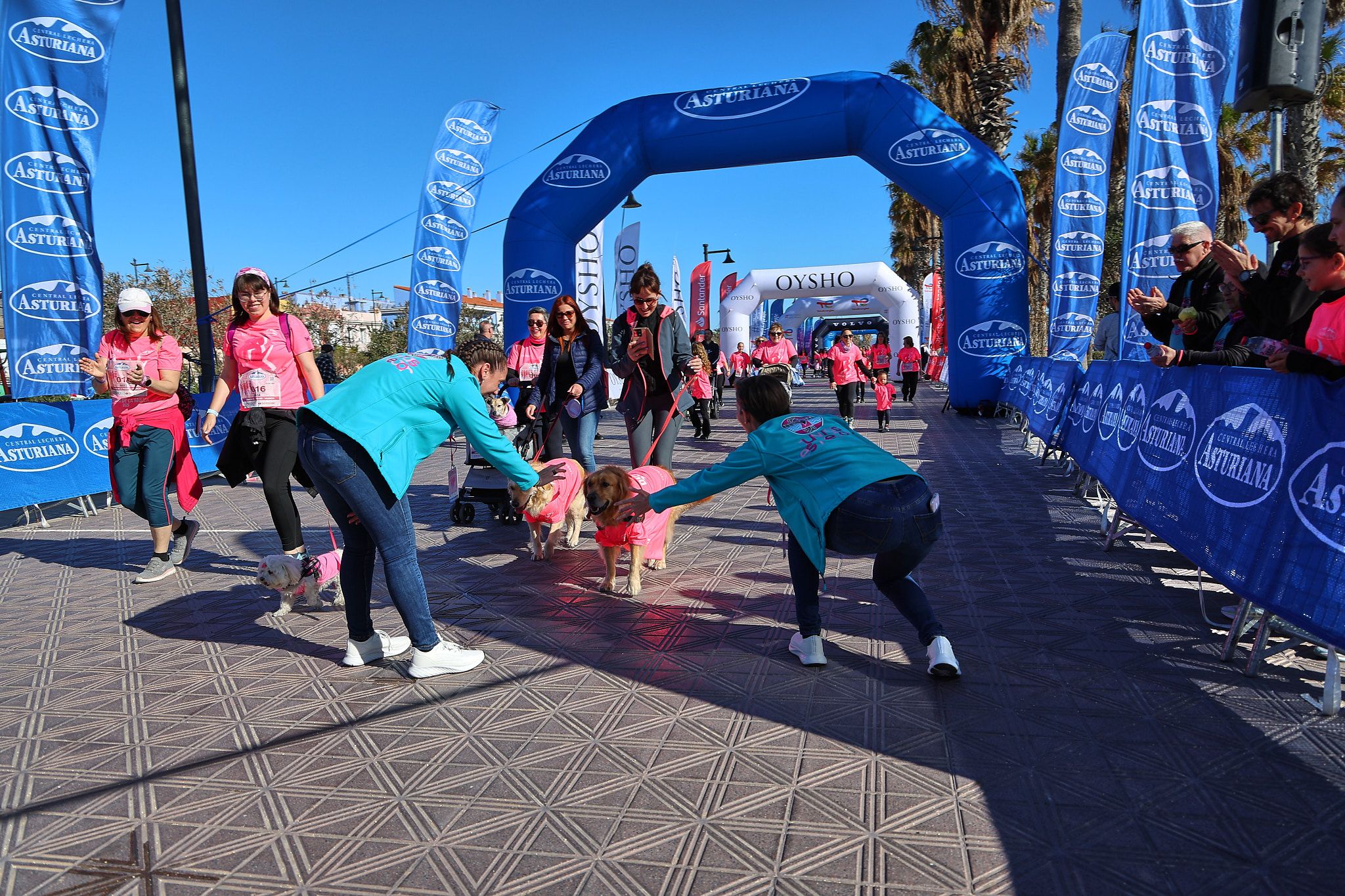 Las mejores fotos de la Carrera de la Mujer Central Lechera Asturiana de Valencia 2025. 1501