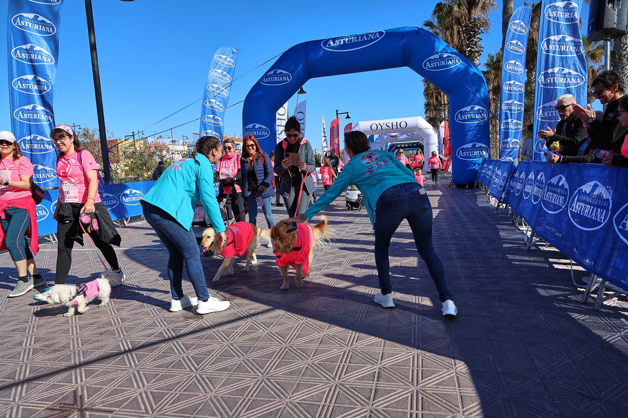 Las mejores fotos de la Carrera de la Mujer Central Lechera Asturiana de Valencia 2025. 1502