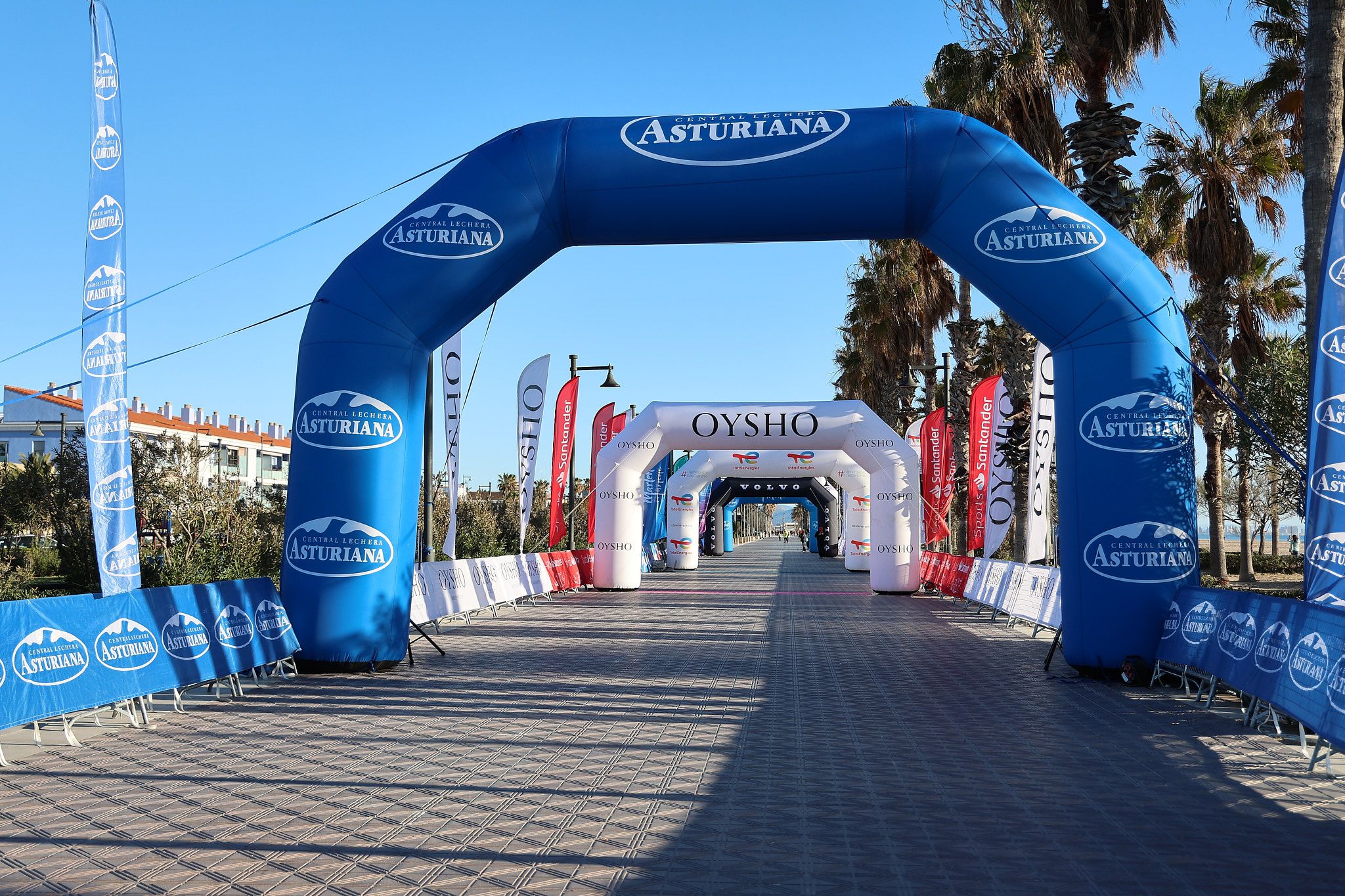 Las mejores fotos de la Carrera de la Mujer Central Lechera Asturiana de Valencia 2025. 87