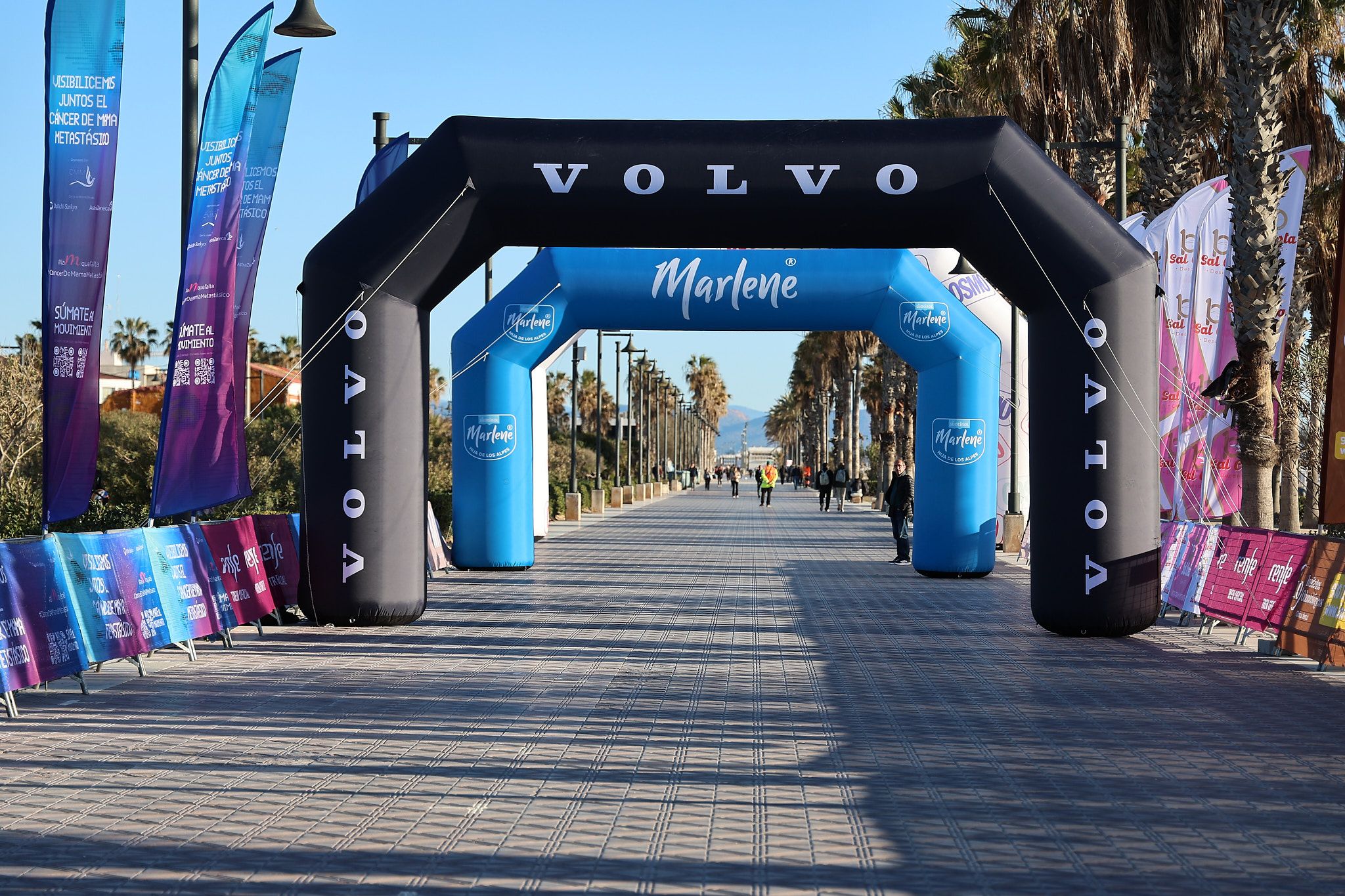Las mejores fotos de la Carrera de la Mujer Central Lechera Asturiana de Valencia 2025. 90