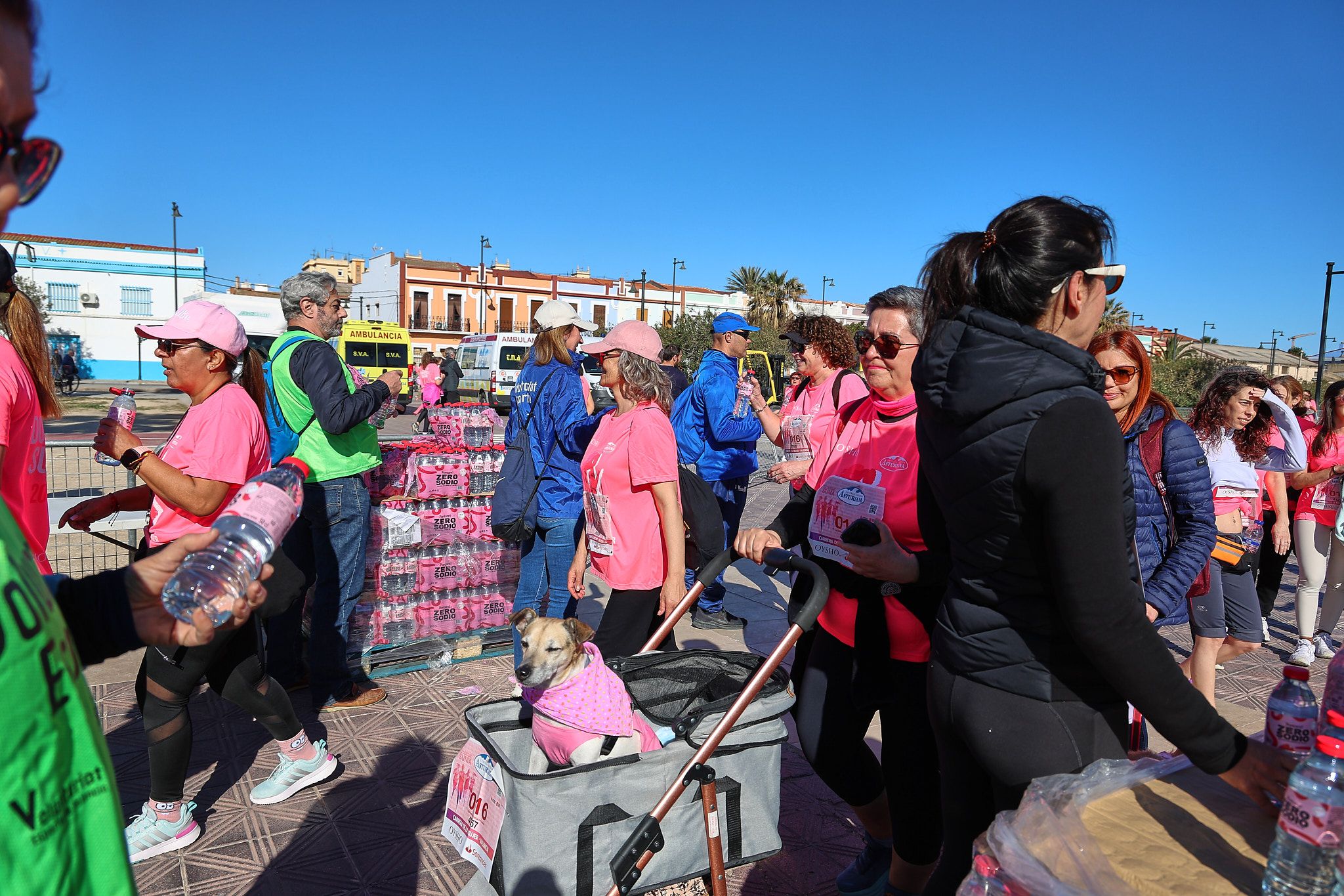 Las mejores fotos de la Carrera de la Mujer Central Lechera Asturiana de Valencia 2025. 1552