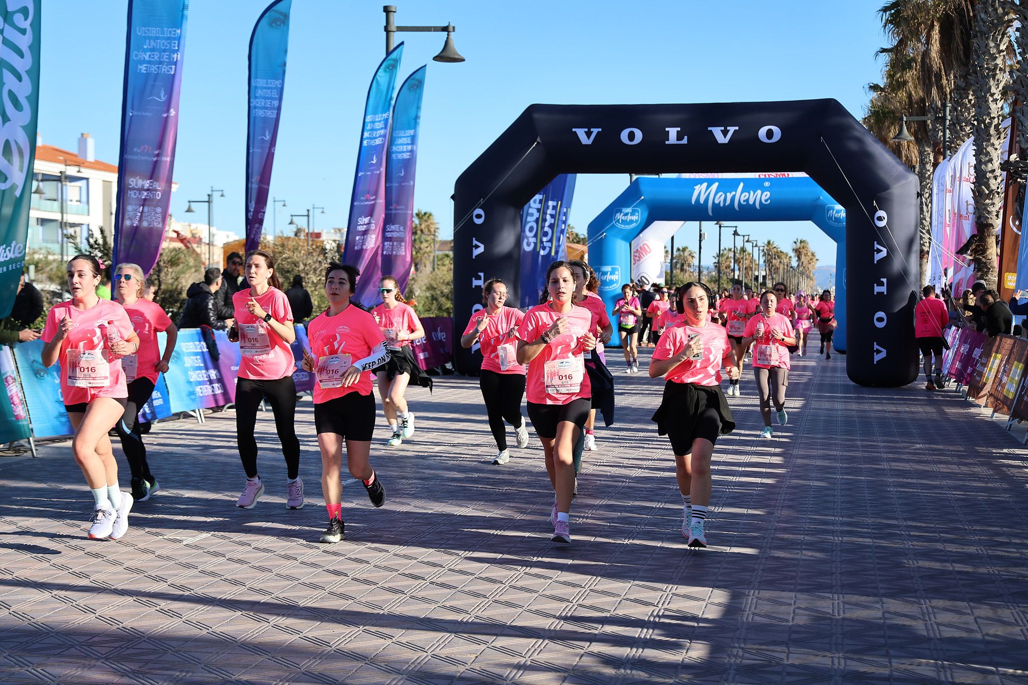 Las mejores fotos de la Carrera de la Mujer Central Lechera Asturiana de Valencia 2025. 605