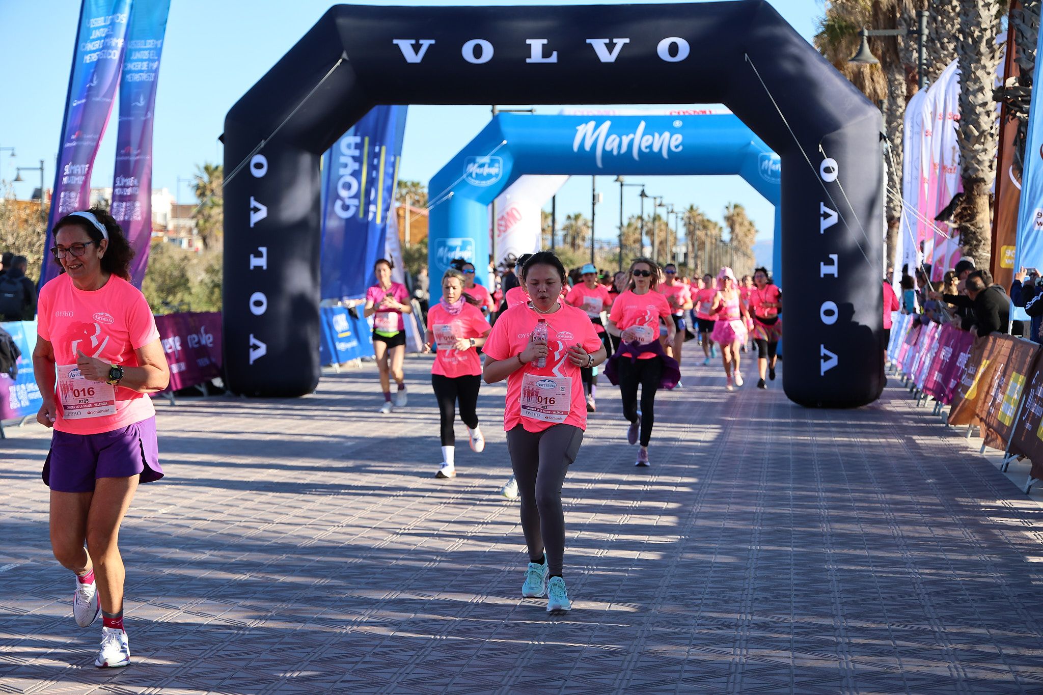 Las mejores fotos de la Carrera de la Mujer Central Lechera Asturiana de Valencia 2025. 607