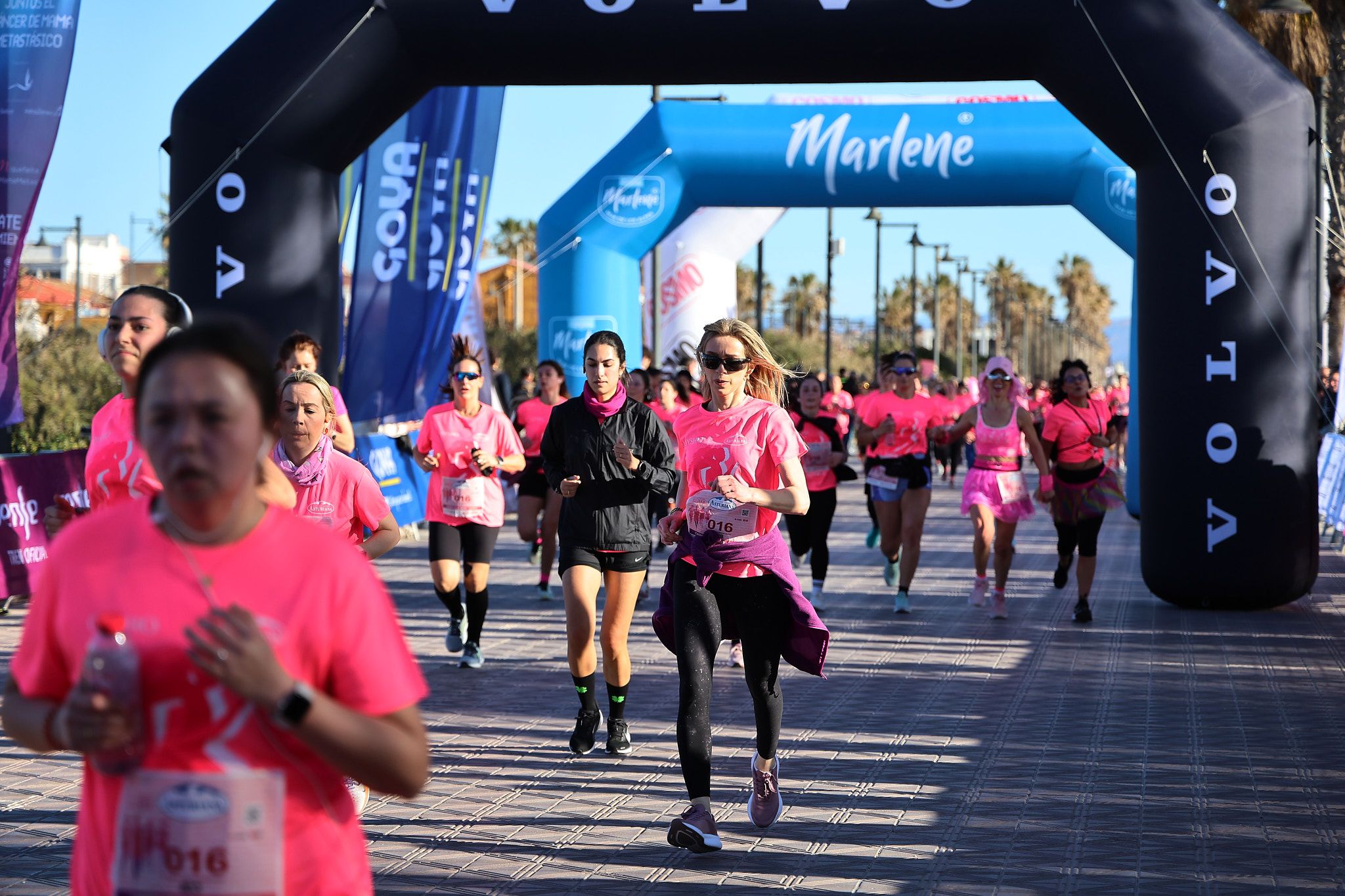 Las mejores fotos de la Carrera de la Mujer Central Lechera Asturiana de Valencia 2025. 609
