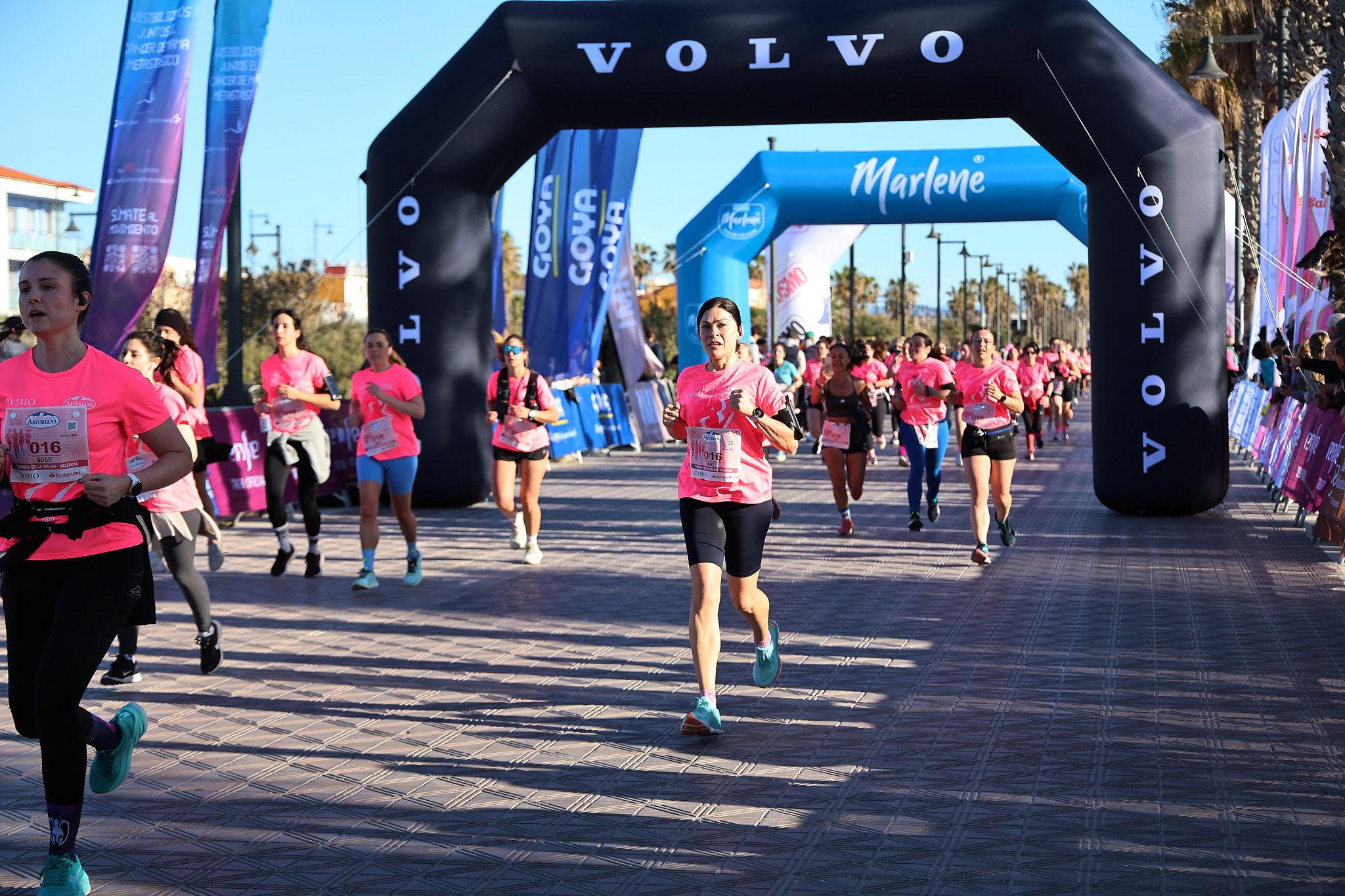 Las mejores fotos de la Carrera de la Mujer Central Lechera Asturiana de Valencia 2025. 620