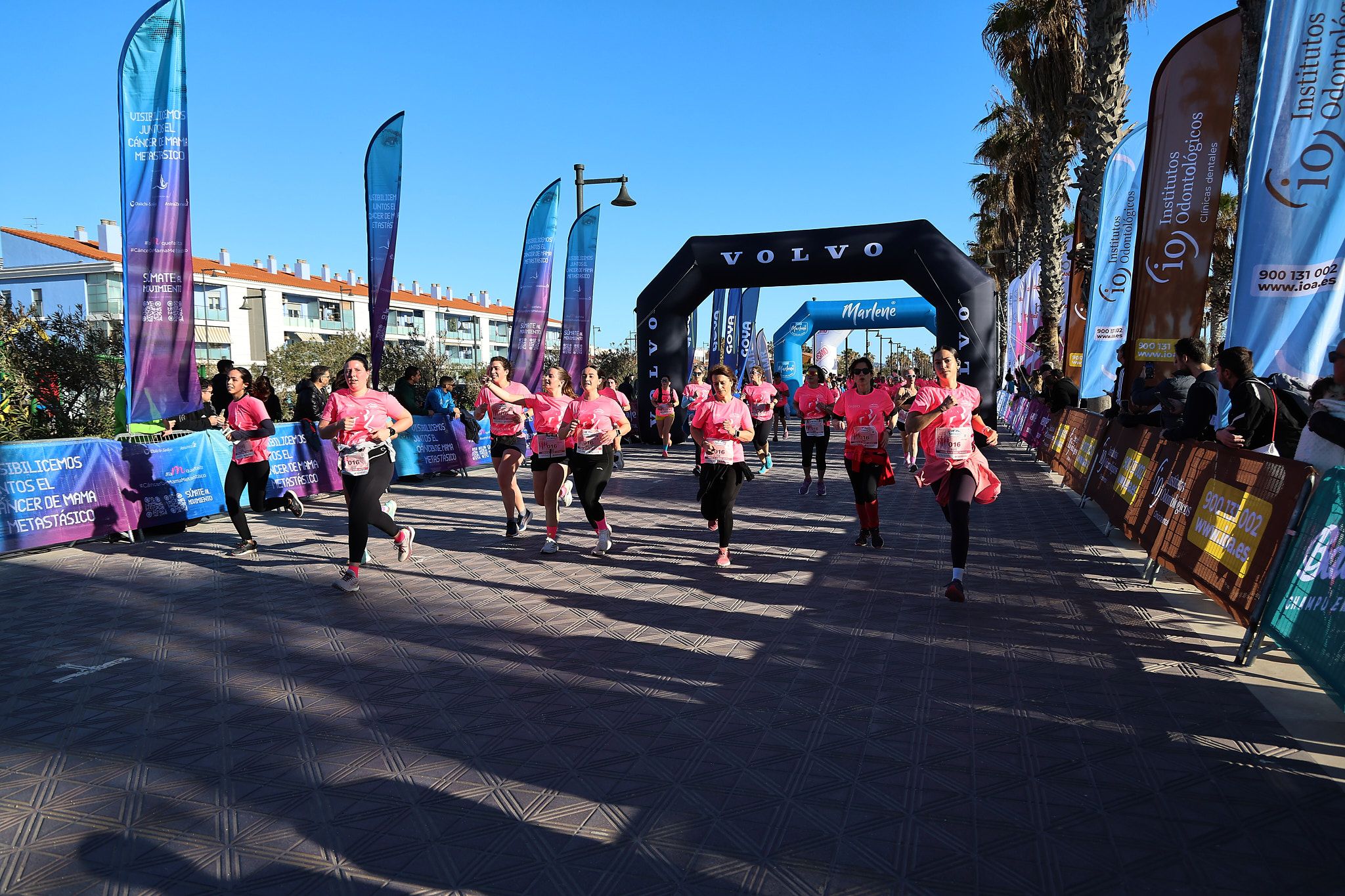 Las mejores fotos de la Carrera de la Mujer Central Lechera Asturiana de Valencia 2025. 625