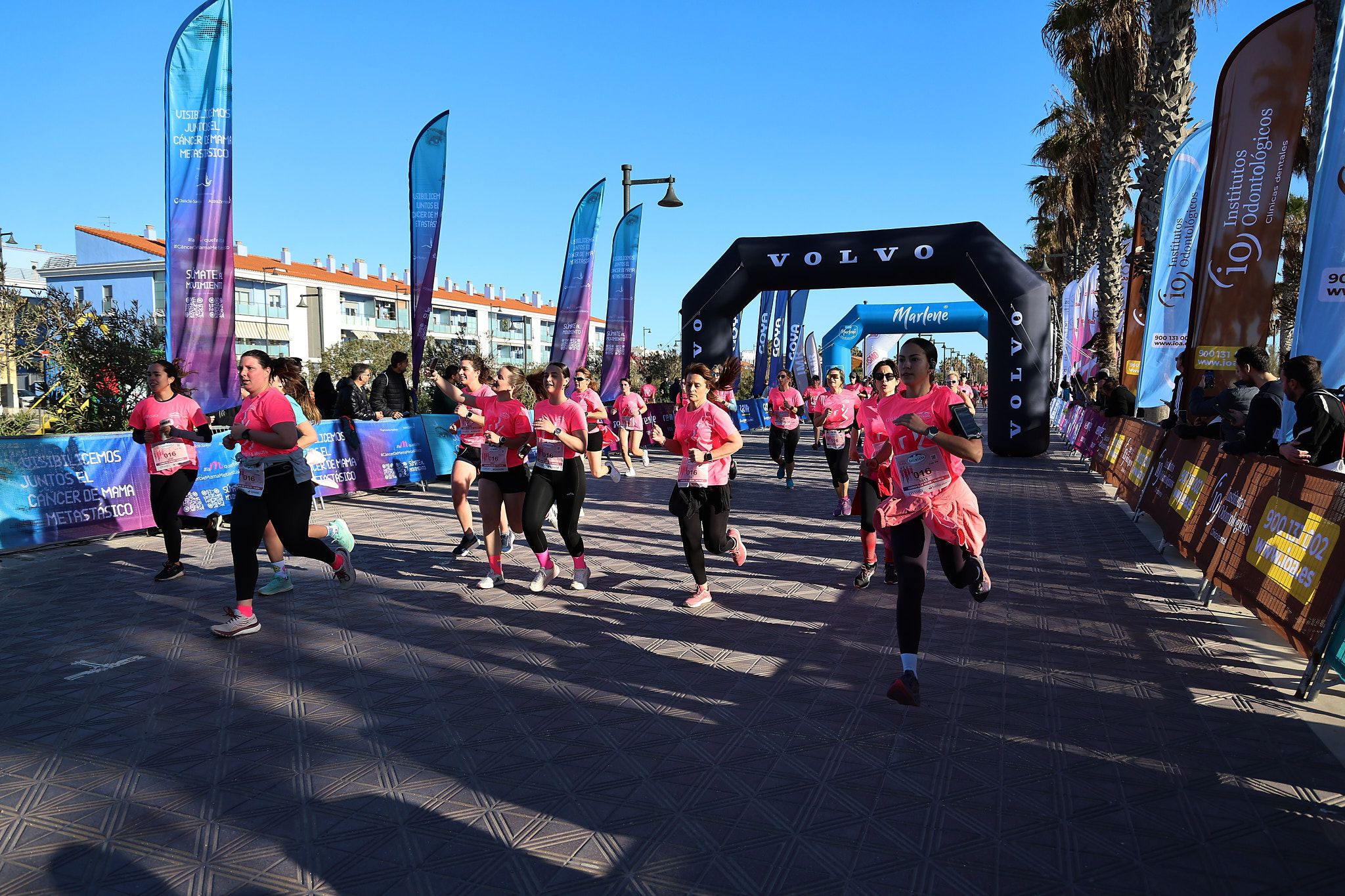 Las mejores fotos de la Carrera de la Mujer Central Lechera Asturiana de Valencia 2025. 626