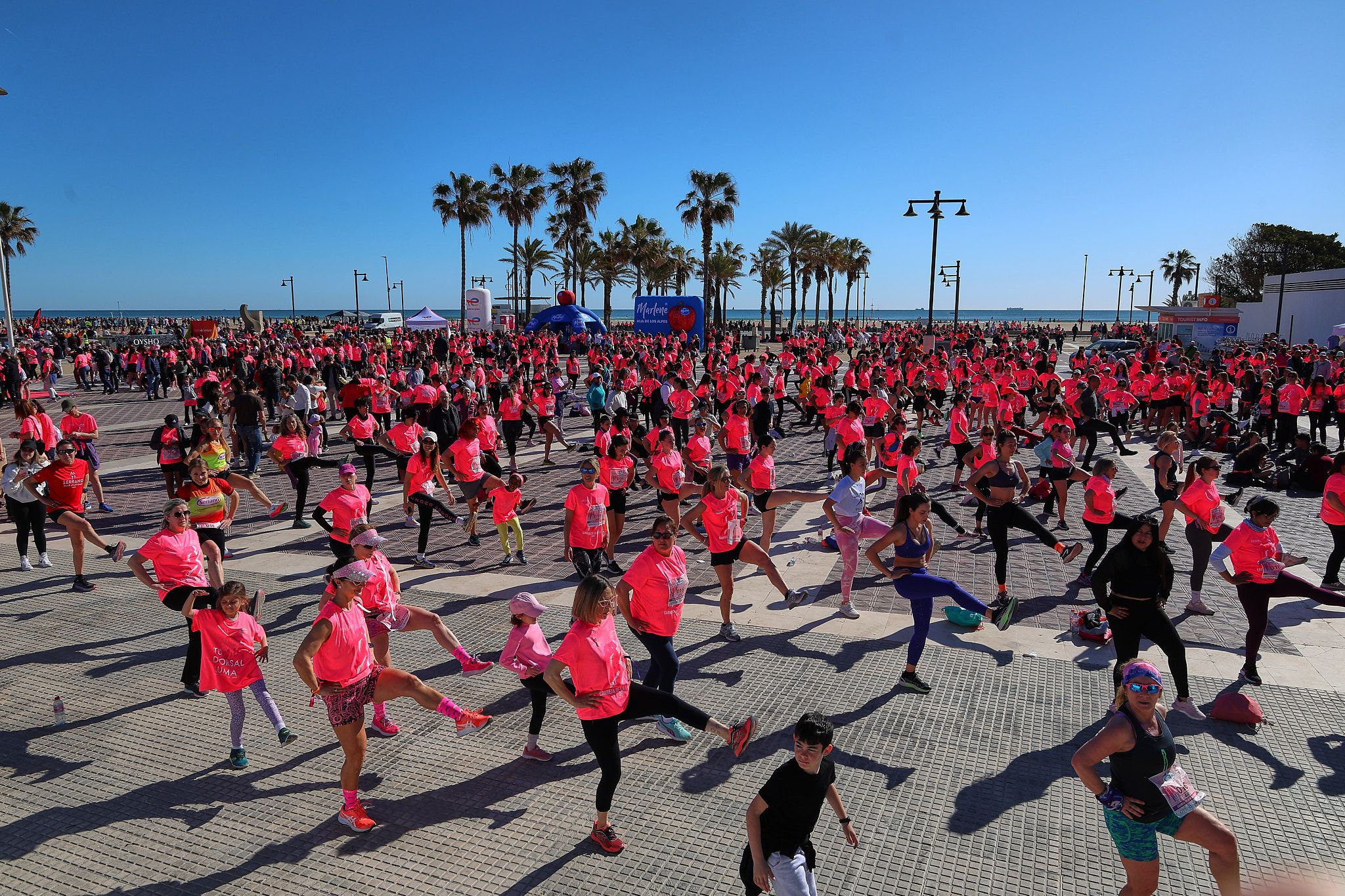 Las mejores fotos de la Carrera de la Mujer Central Lechera Asturiana de Valencia 2025. 1614