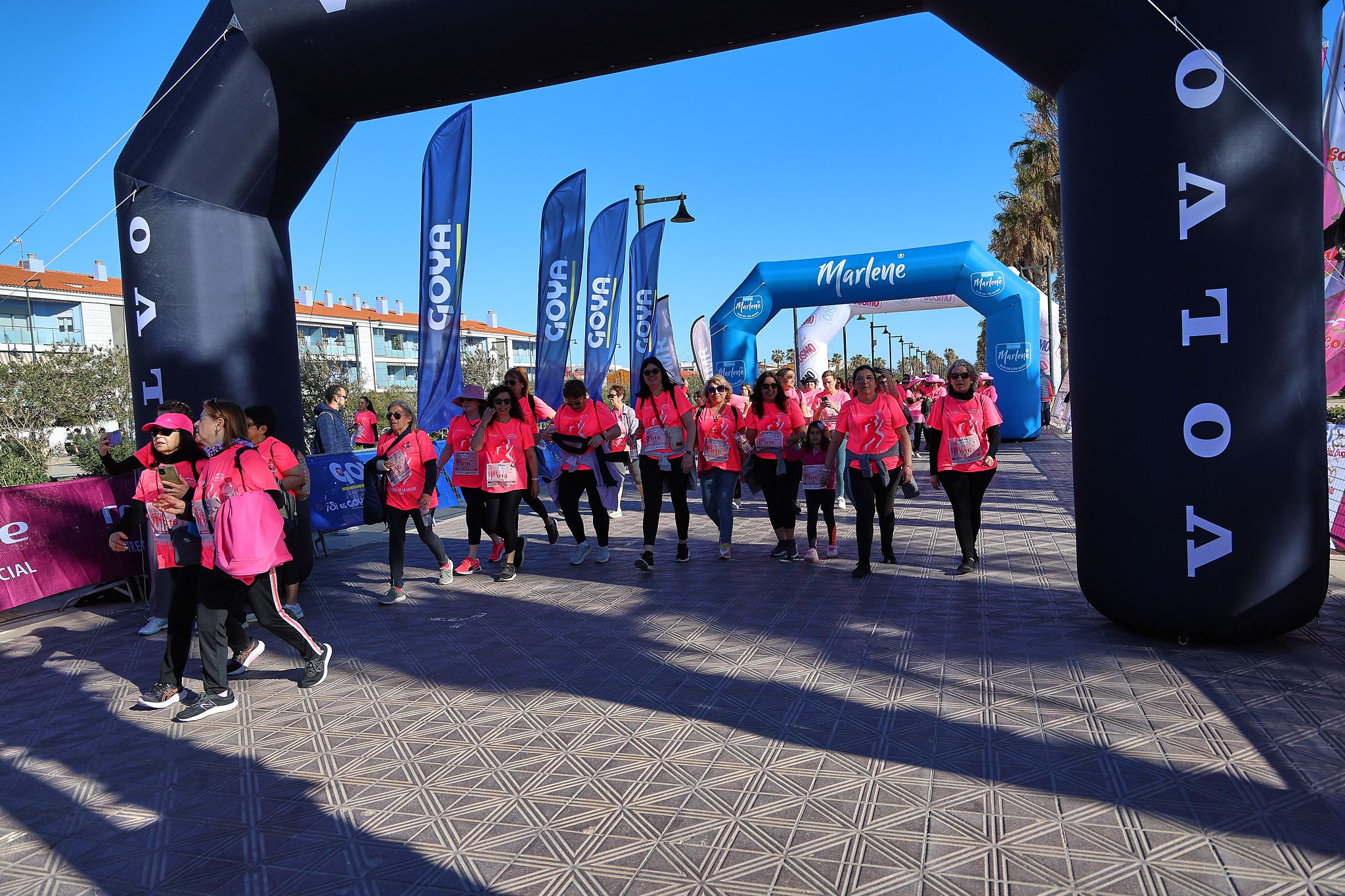 Las mejores fotos de la Carrera de la Mujer Central Lechera Asturiana de Valencia 2025. 1386