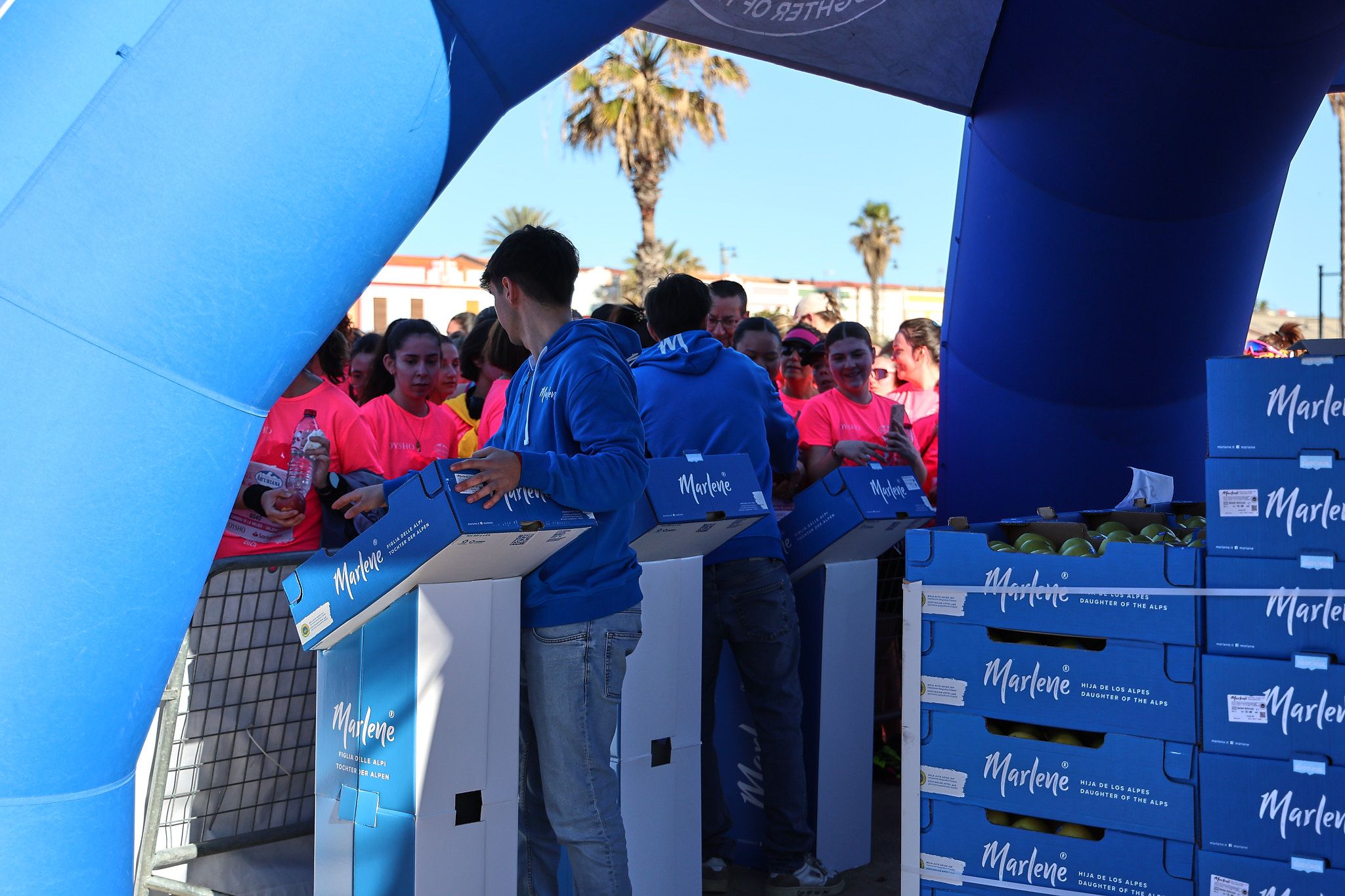 Las mejores fotos de la Carrera de la Mujer Central Lechera Asturiana de Valencia 2025. 916