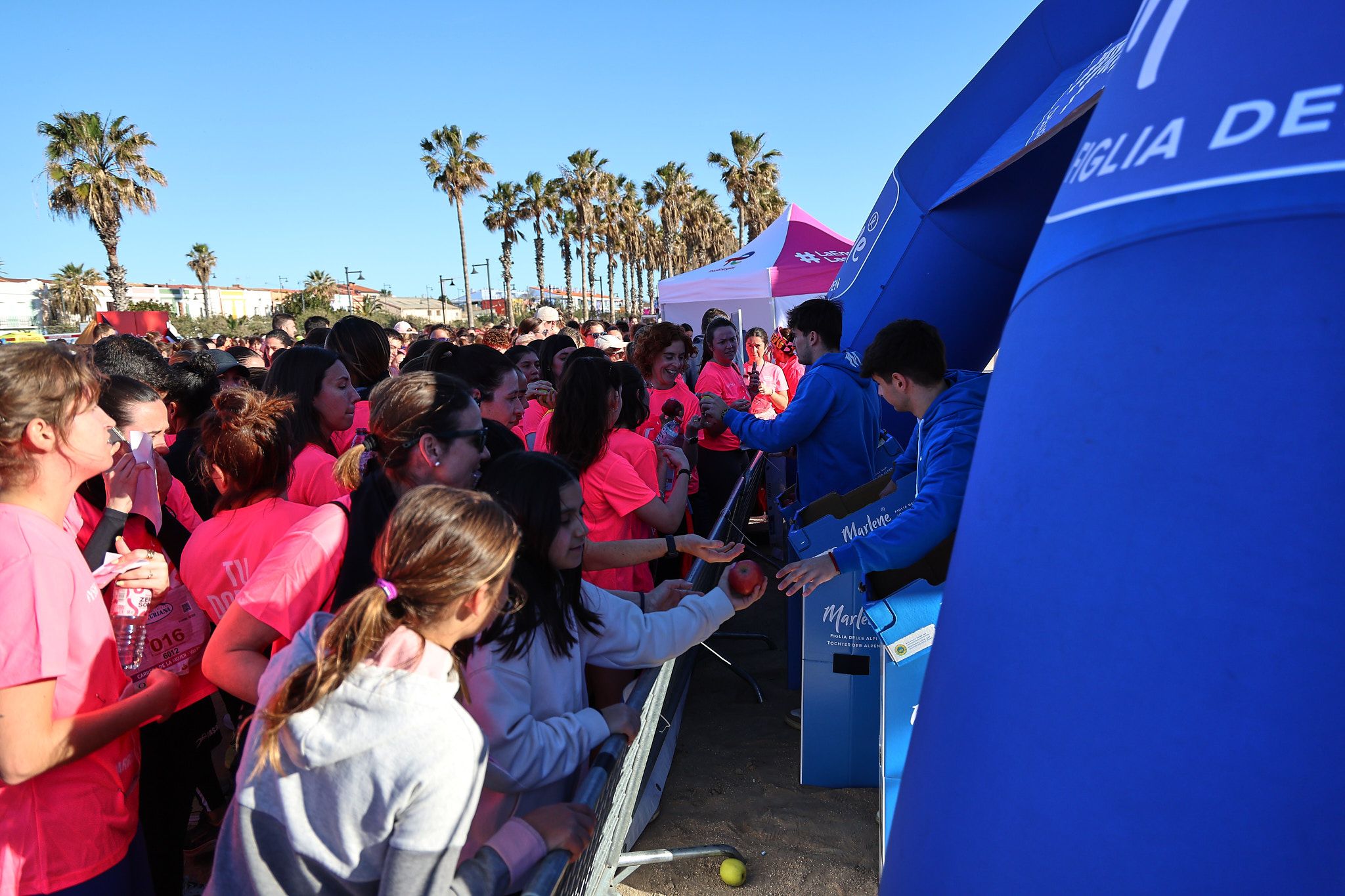 Las mejores fotos de la Carrera de la Mujer Central Lechera Asturiana de Valencia 2025. 918