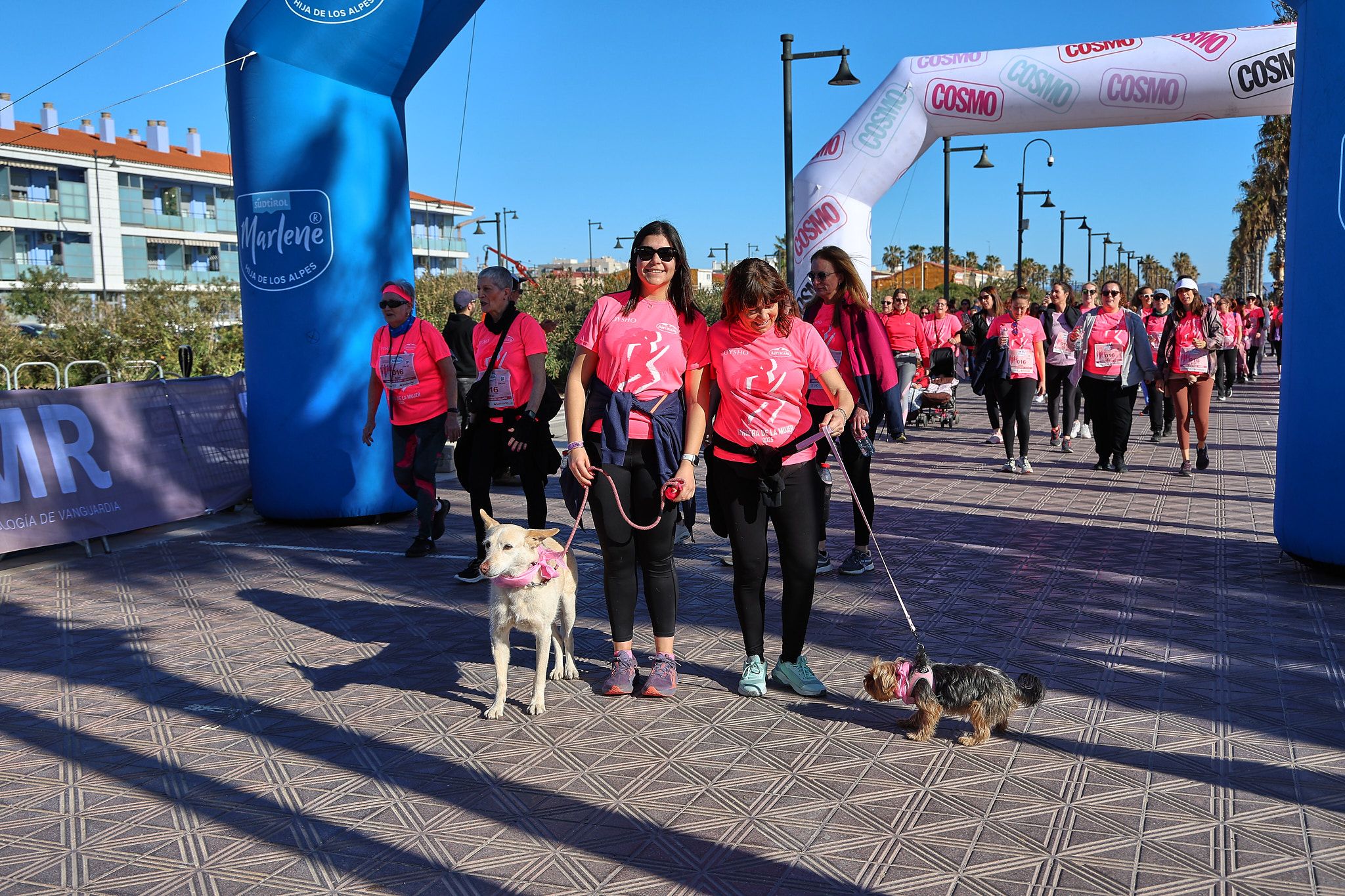 Las mejores fotos de la Carrera de la Mujer Central Lechera Asturiana de Valencia 2025. 1409