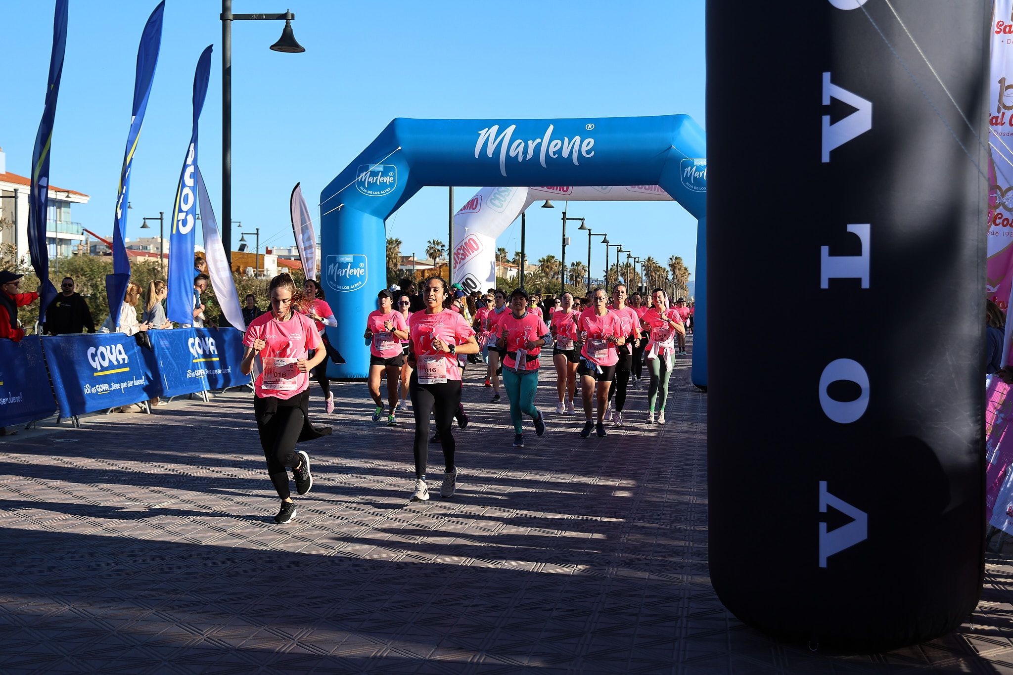 Las mejores fotos de la Carrera de la Mujer Central Lechera Asturiana de Valencia 2025. 678