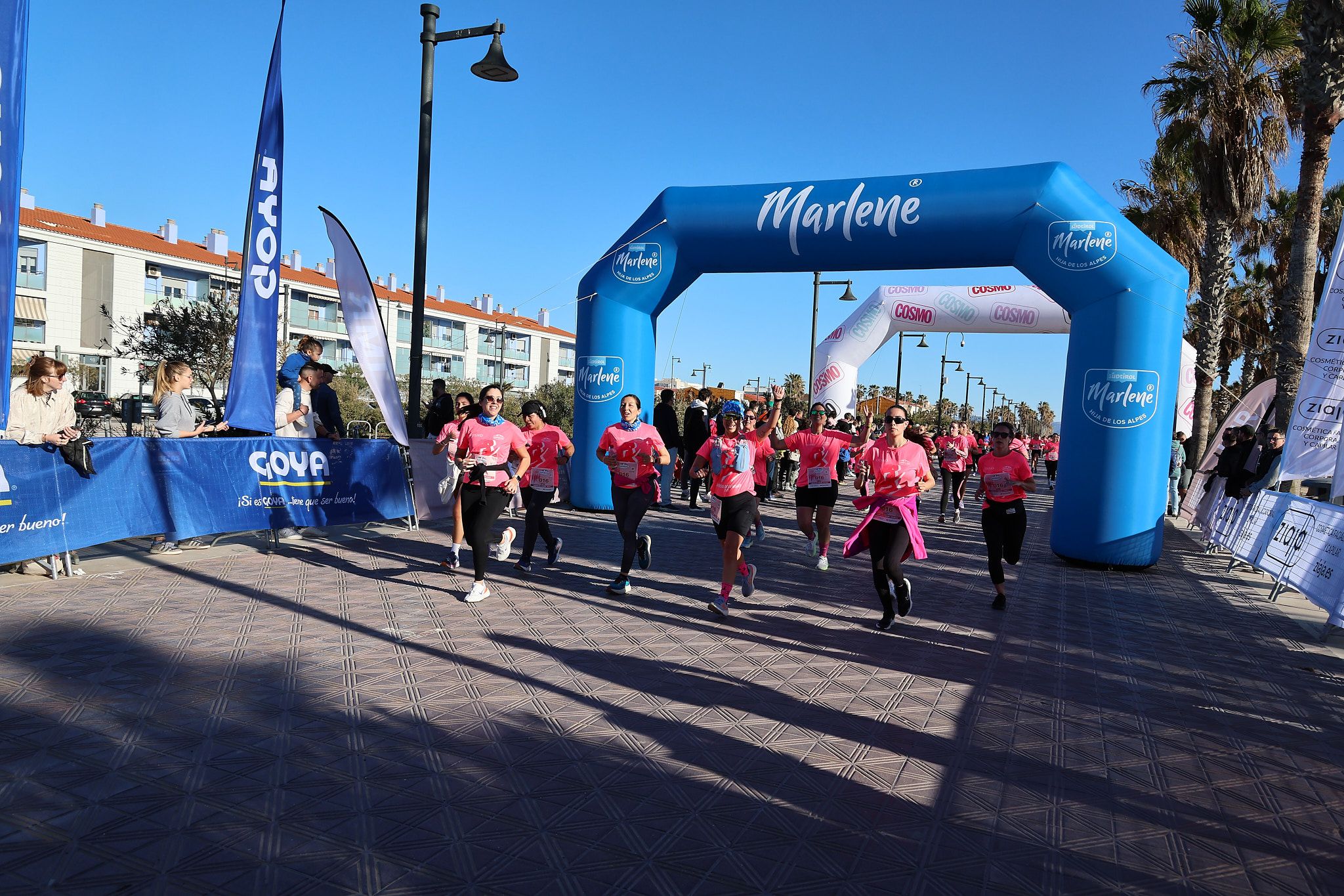 Las mejores fotos de la Carrera de la Mujer Central Lechera Asturiana de Valencia 2025. 703