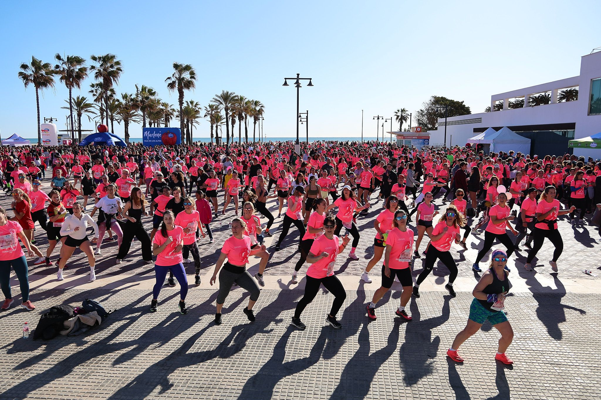 Las mejores fotos de la Carrera de la Mujer Central Lechera Asturiana de Valencia 2025. 984