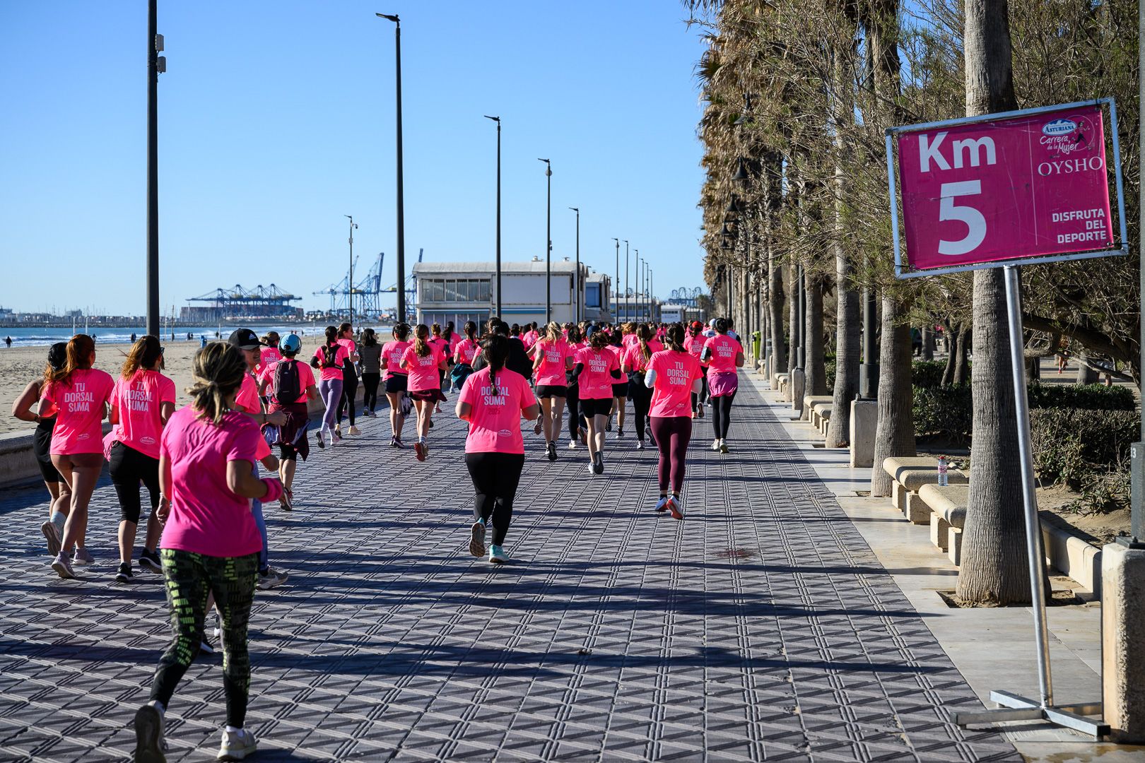 Más fotos de la Carrera de la Mujer Central Lechera Asturiana de Valencia 2025. 4068