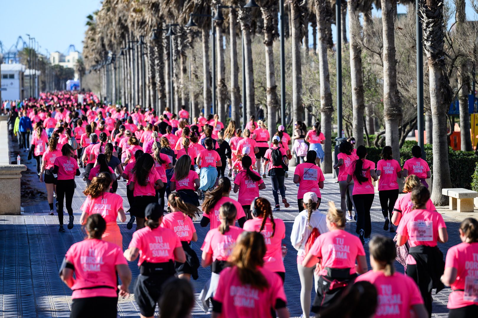 Más fotos de la Carrera de la Mujer Central Lechera Asturiana de Valencia 2025. 4103