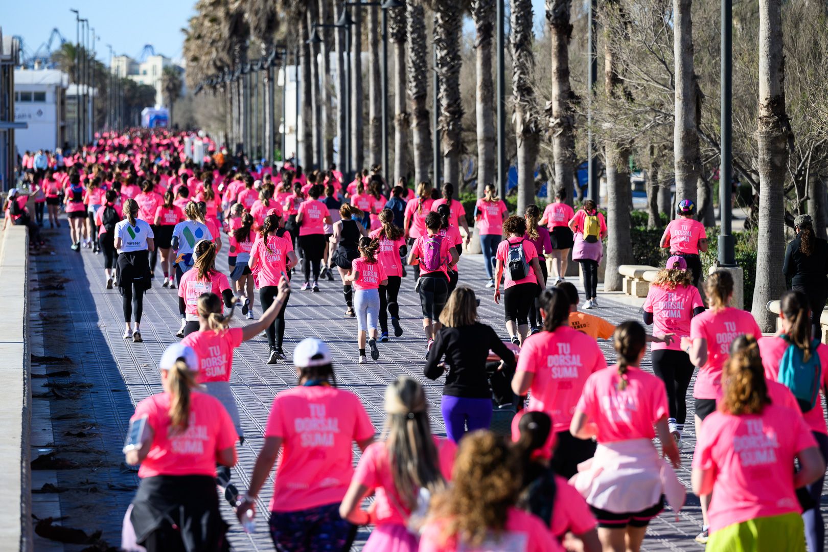 Más fotos de la Carrera de la Mujer Central Lechera Asturiana de Valencia 2025. 4109