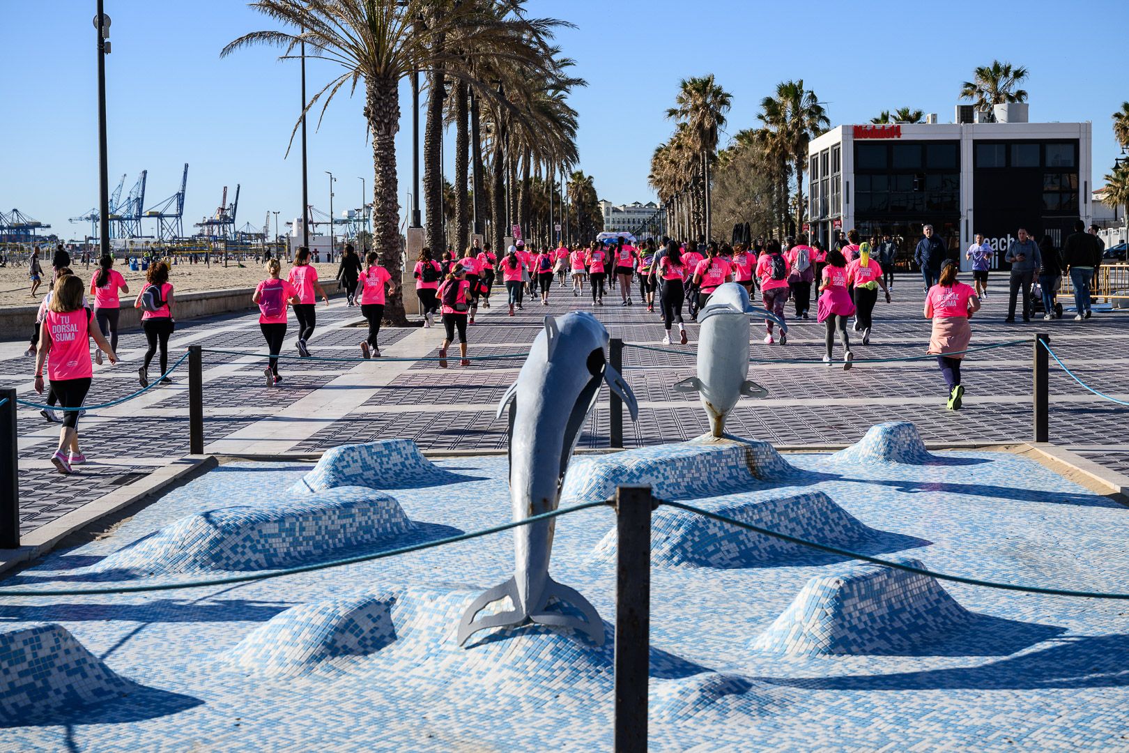 Más fotos de la Carrera de la Mujer Central Lechera Asturiana de Valencia 2025. 4140