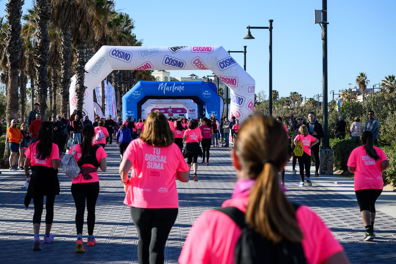 Más fotos de la Carrera de la Mujer Central Lechera Asturiana de Valencia 2025. 4153