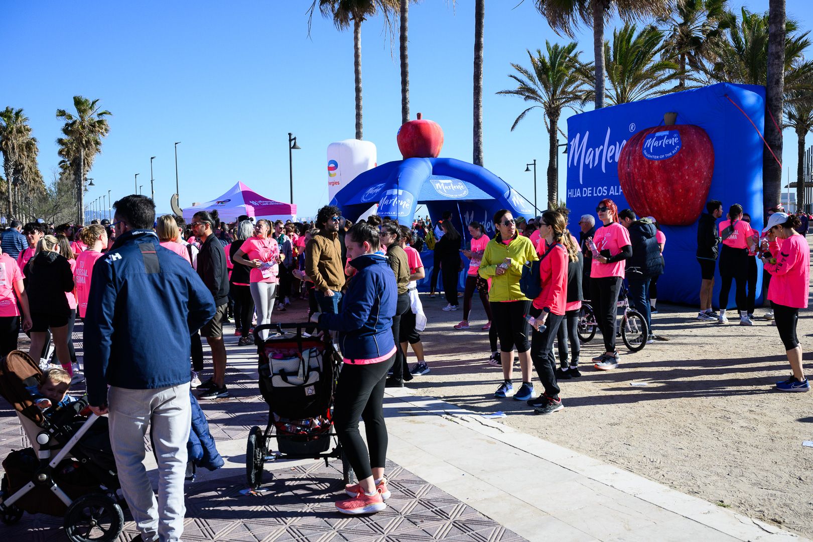 Más fotos de la Carrera de la Mujer Central Lechera Asturiana de Valencia 2025. 4227