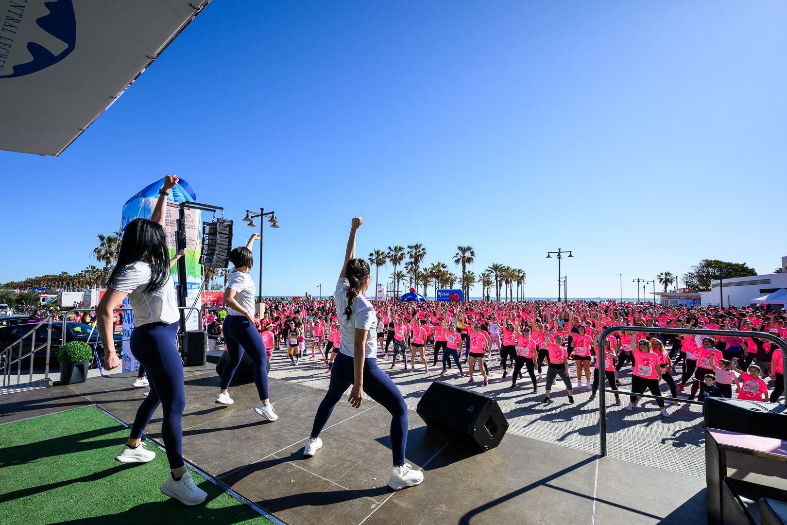 Más fotos de la Carrera de la Mujer Central Lechera Asturiana de Valencia 2025. 4268