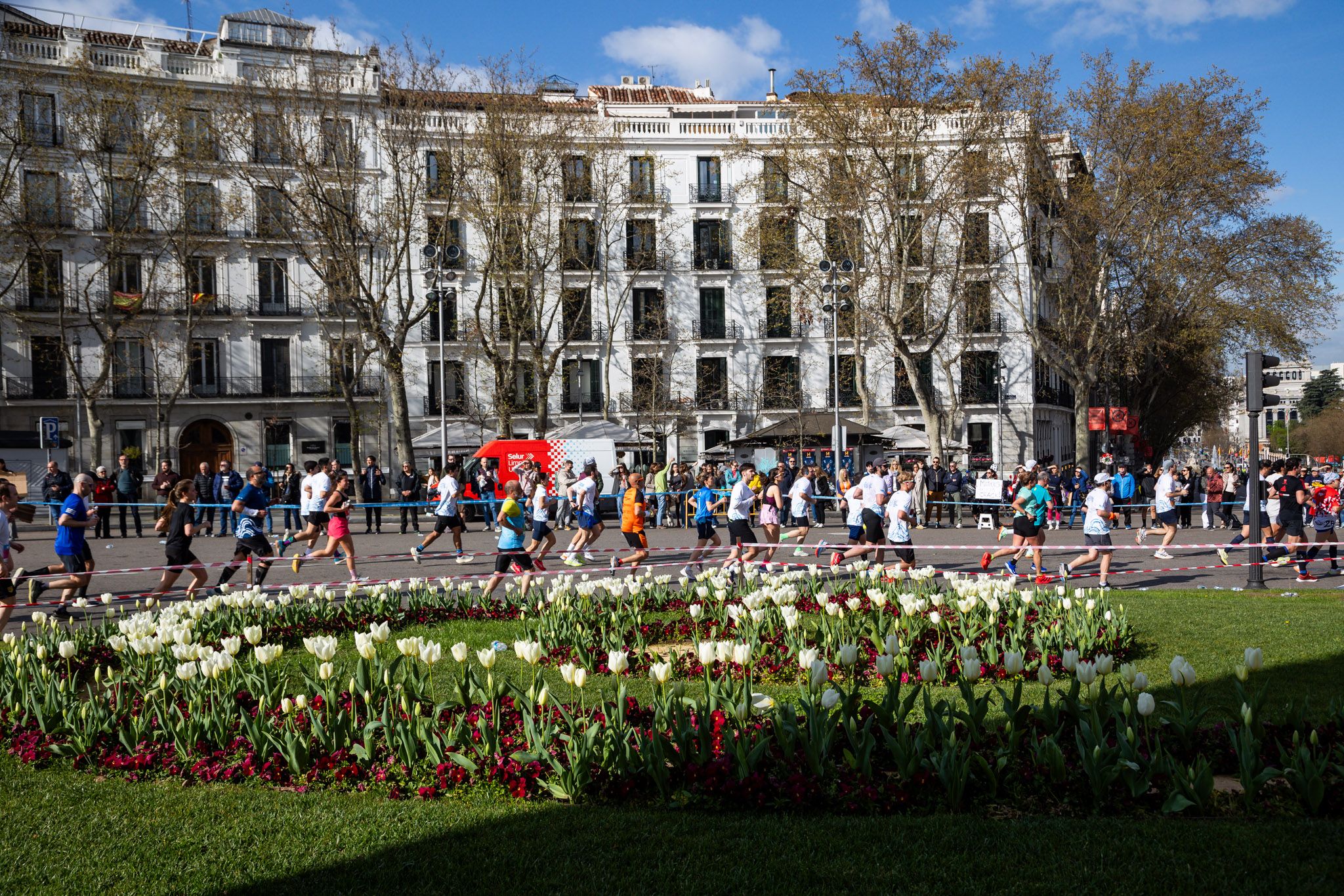 50 fotos espectaculares del Movistar Madrid Medio Maratón 2025 14