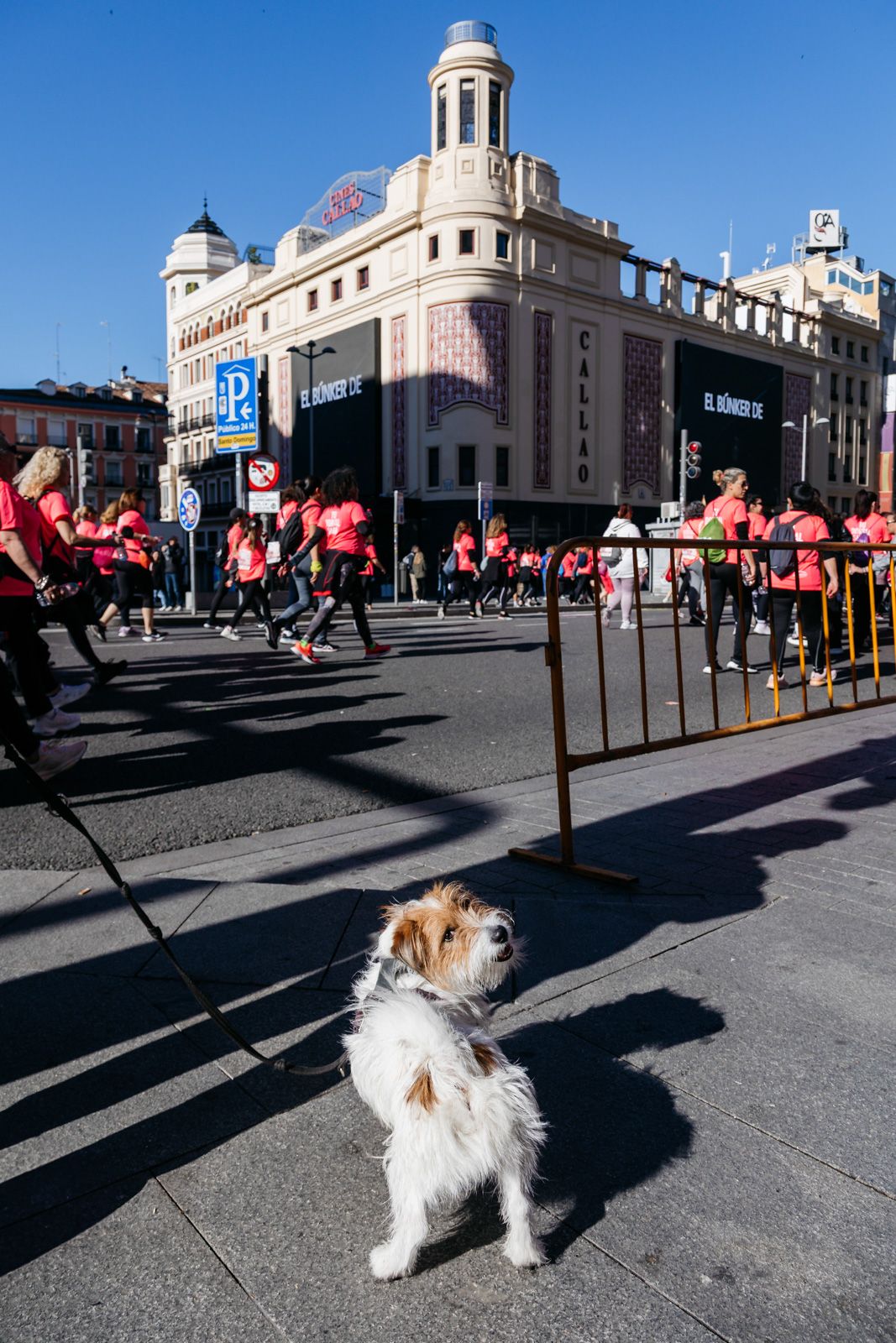 Las mejores fotos de la Carrera de la Mujer de Madrid 2025 11