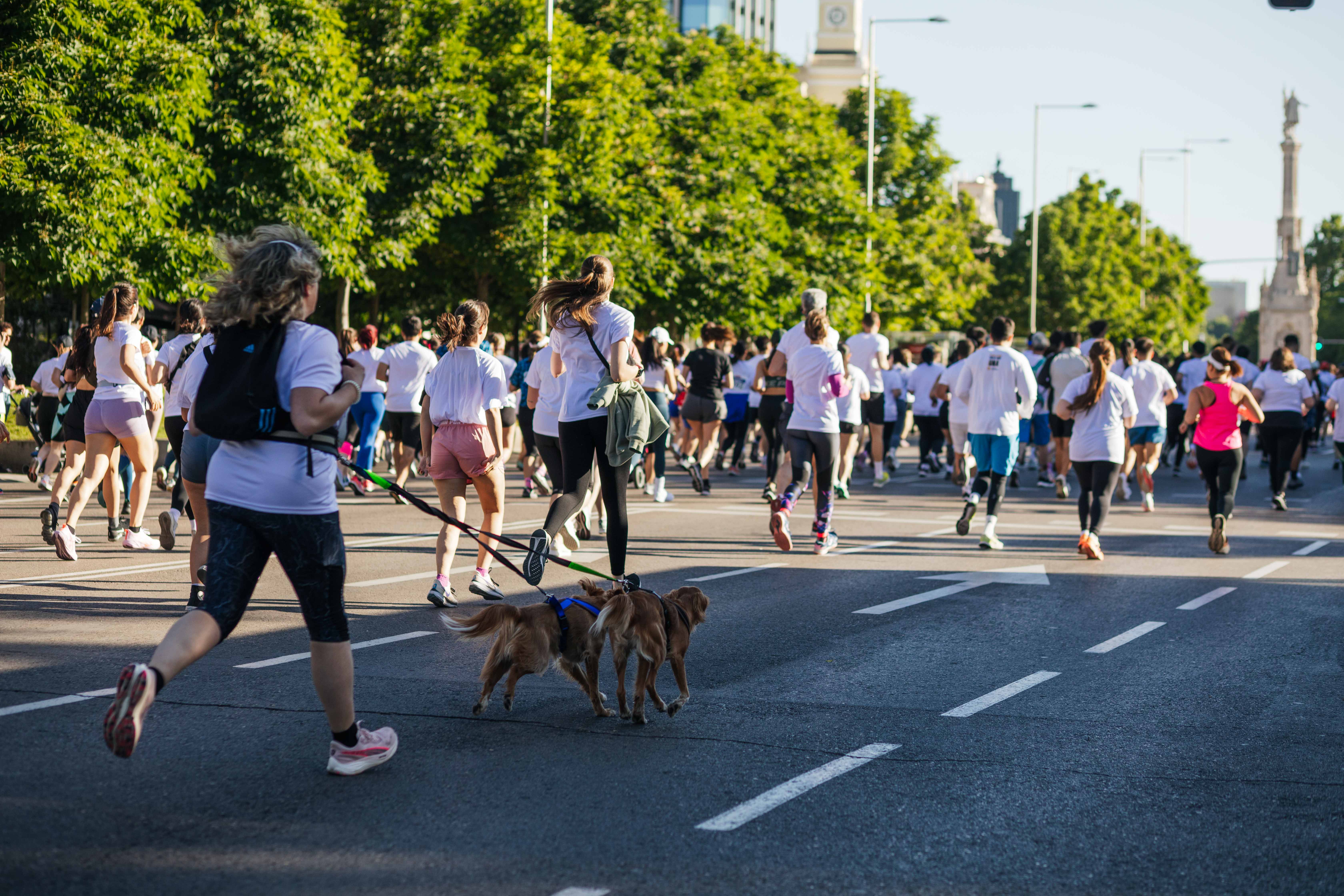 Las mejores fotos de la Carrera Contra la Violencia de Género. Salida. 104