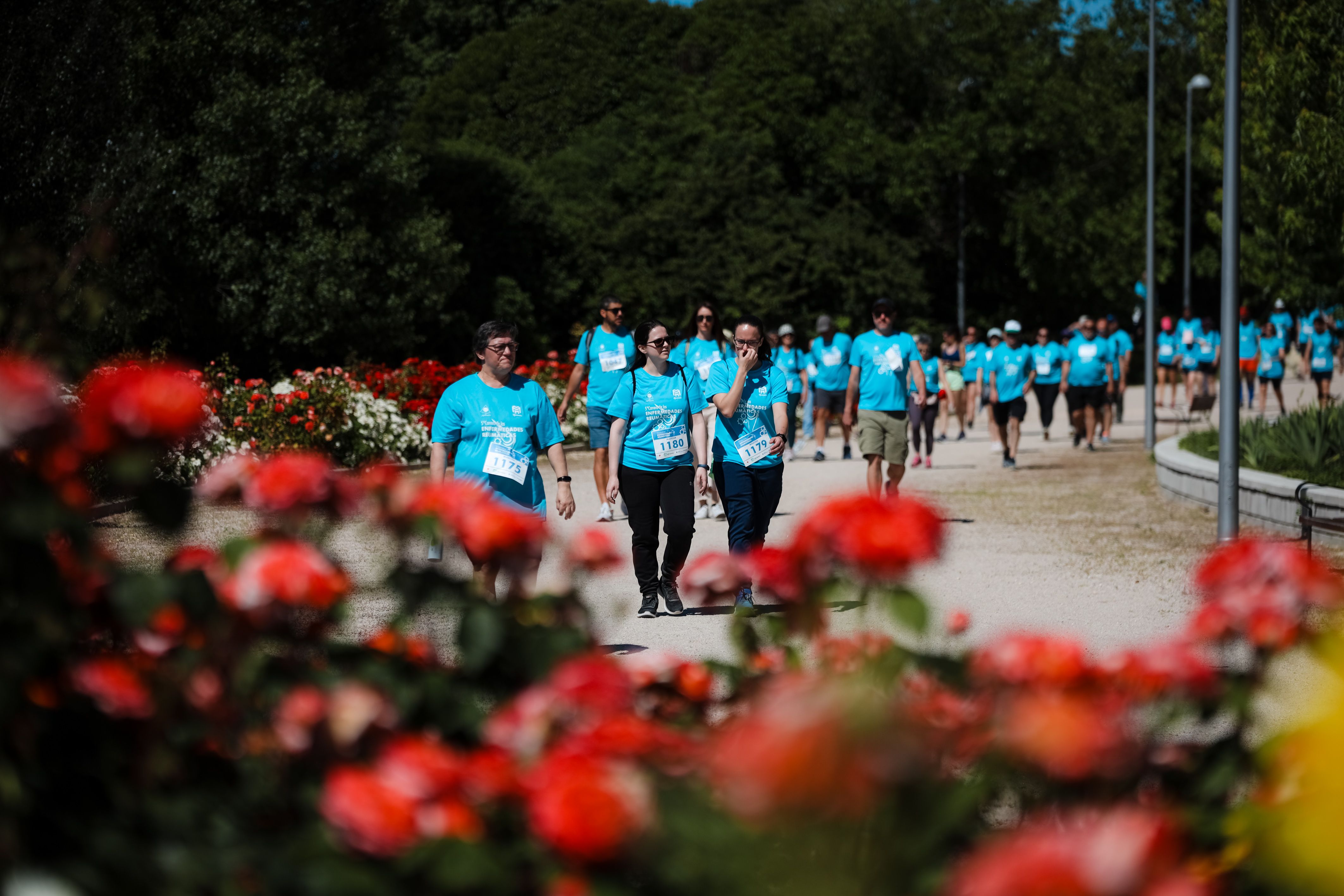 Uno de los puntales de la Carrera de las Enfermedades Reumáticas es su marcha de 2,5 km. LAST LAP Uno de los puntales de la Carrera de las Enfermedades Reumáticas es su marcha de 2,5 km. LAST LAP