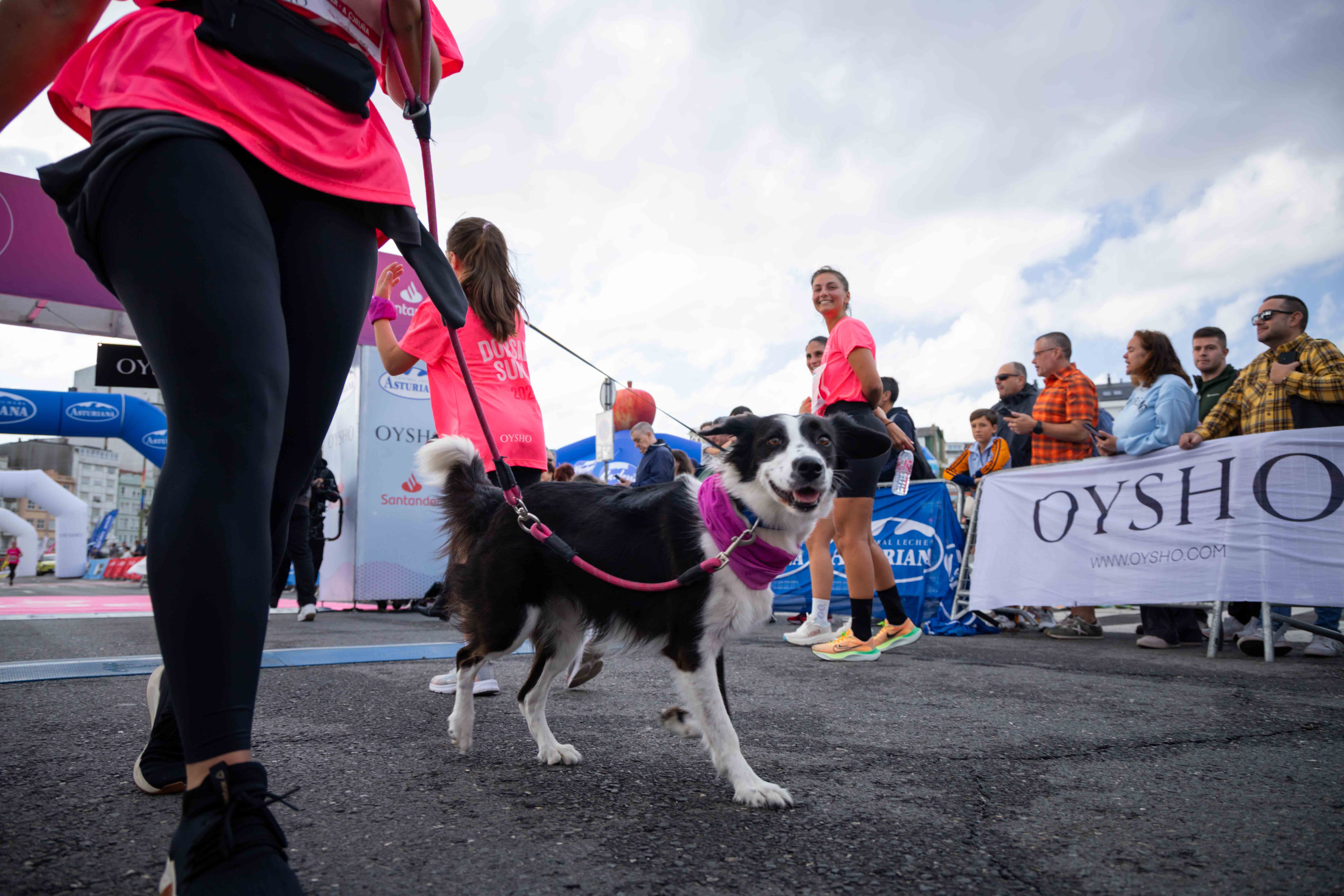 Las mejores fotos de la Carrera de la Mujer de A Coruña 2025  196