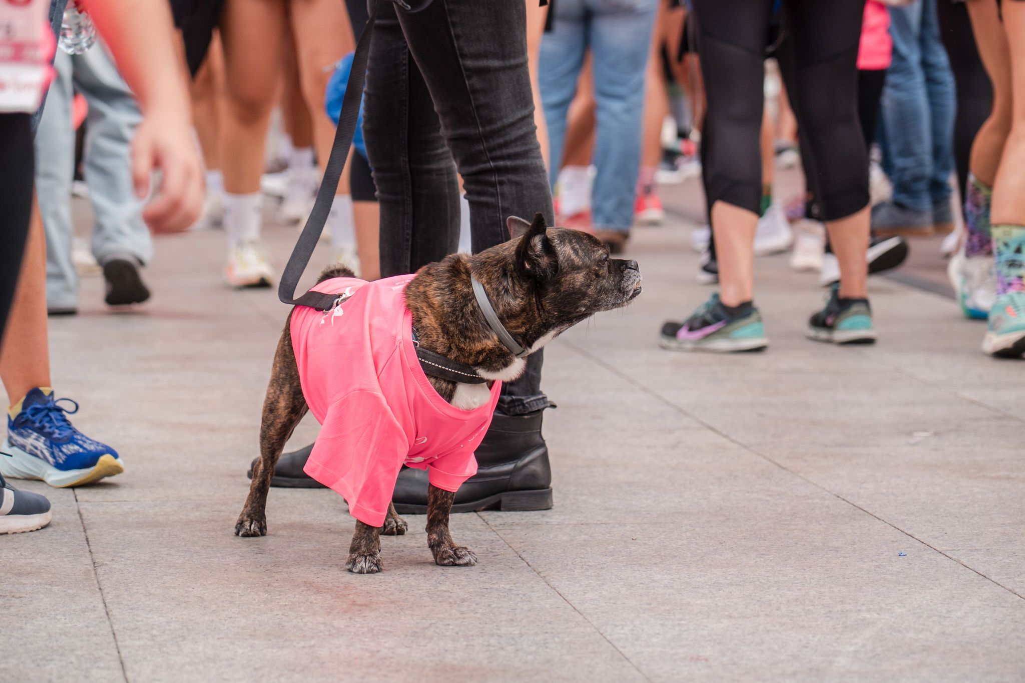 Las mejores fotos de la Carrera de la Mujer de Zaragoza 2025   Recorrido Meta 162