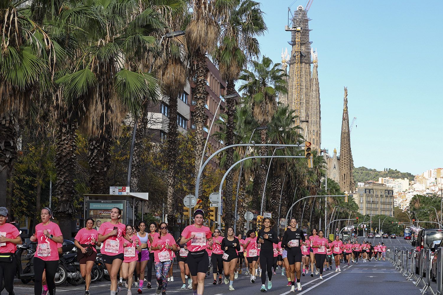 Las mejores fotos del recorrido de la Carrera de la Mujer de Barcelona 2025.JL019288