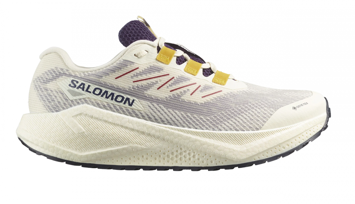 Salomon Aero Blaze