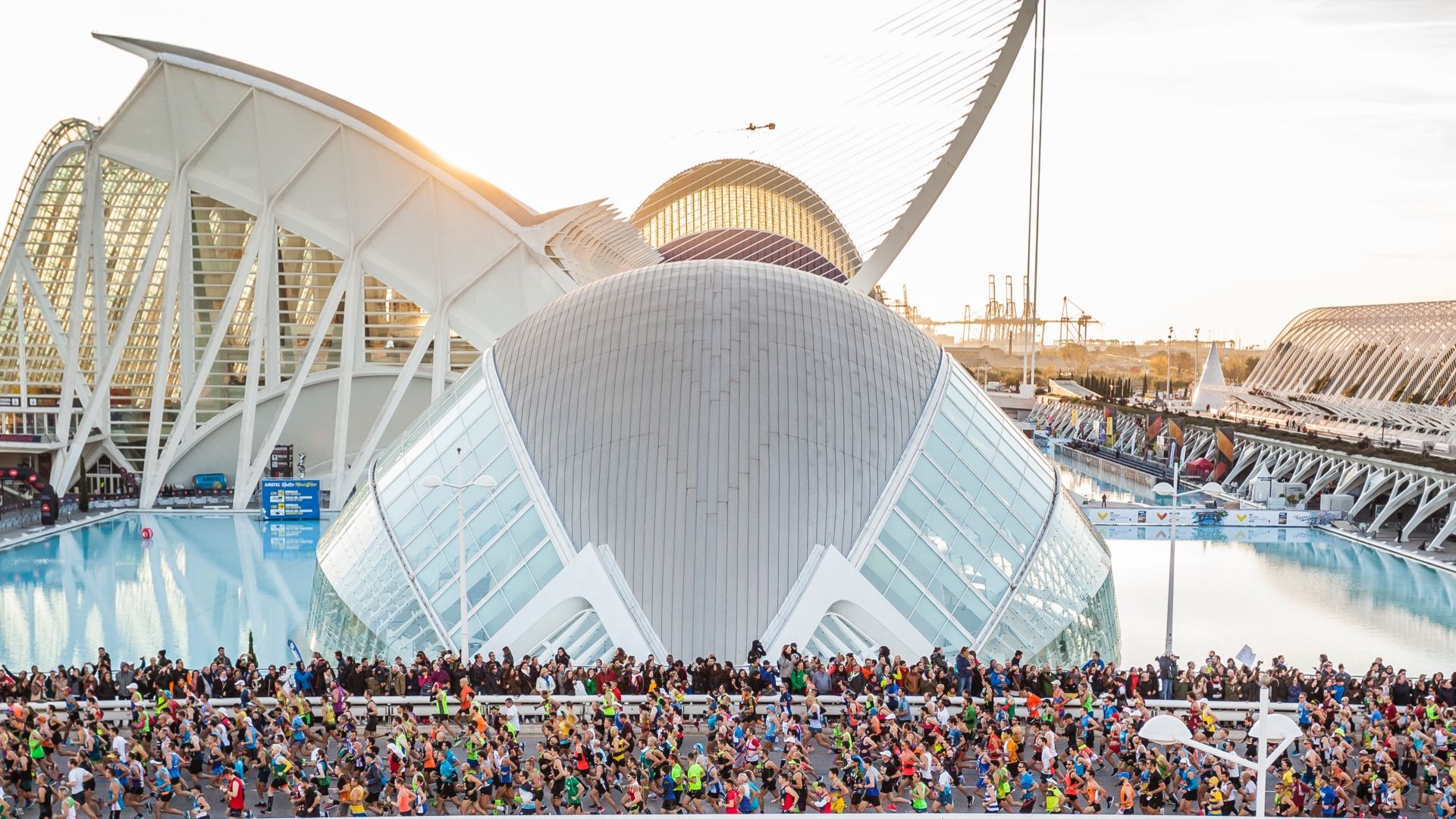 El Maratón de Valencia 2025 será el más internacional de su historia.