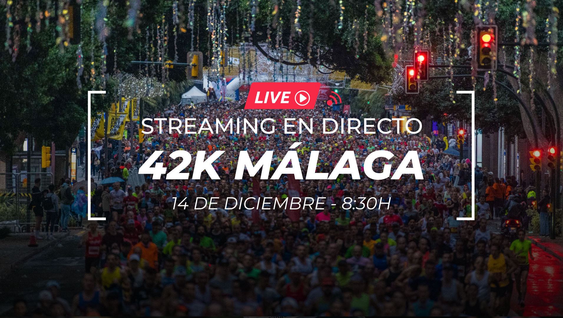 Sigue en directo el streaming del Maratón de Málaga 2025