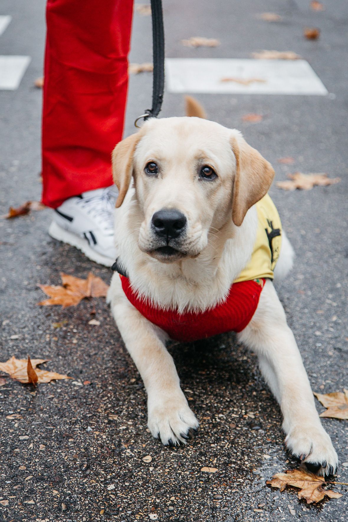 Papá Noel Salida Late mi Lente 23