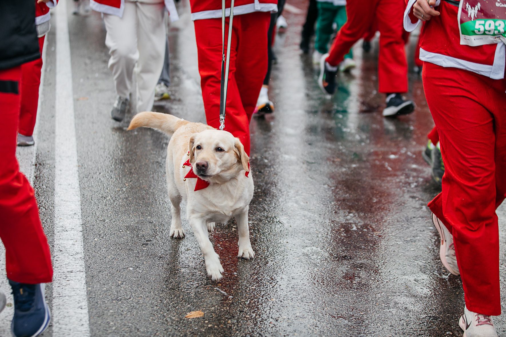 Papá Noel Salida Late mi Lente 155