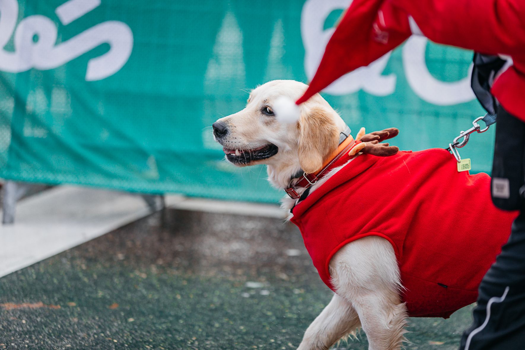 Papá Noel Salida Late mi Lente 195