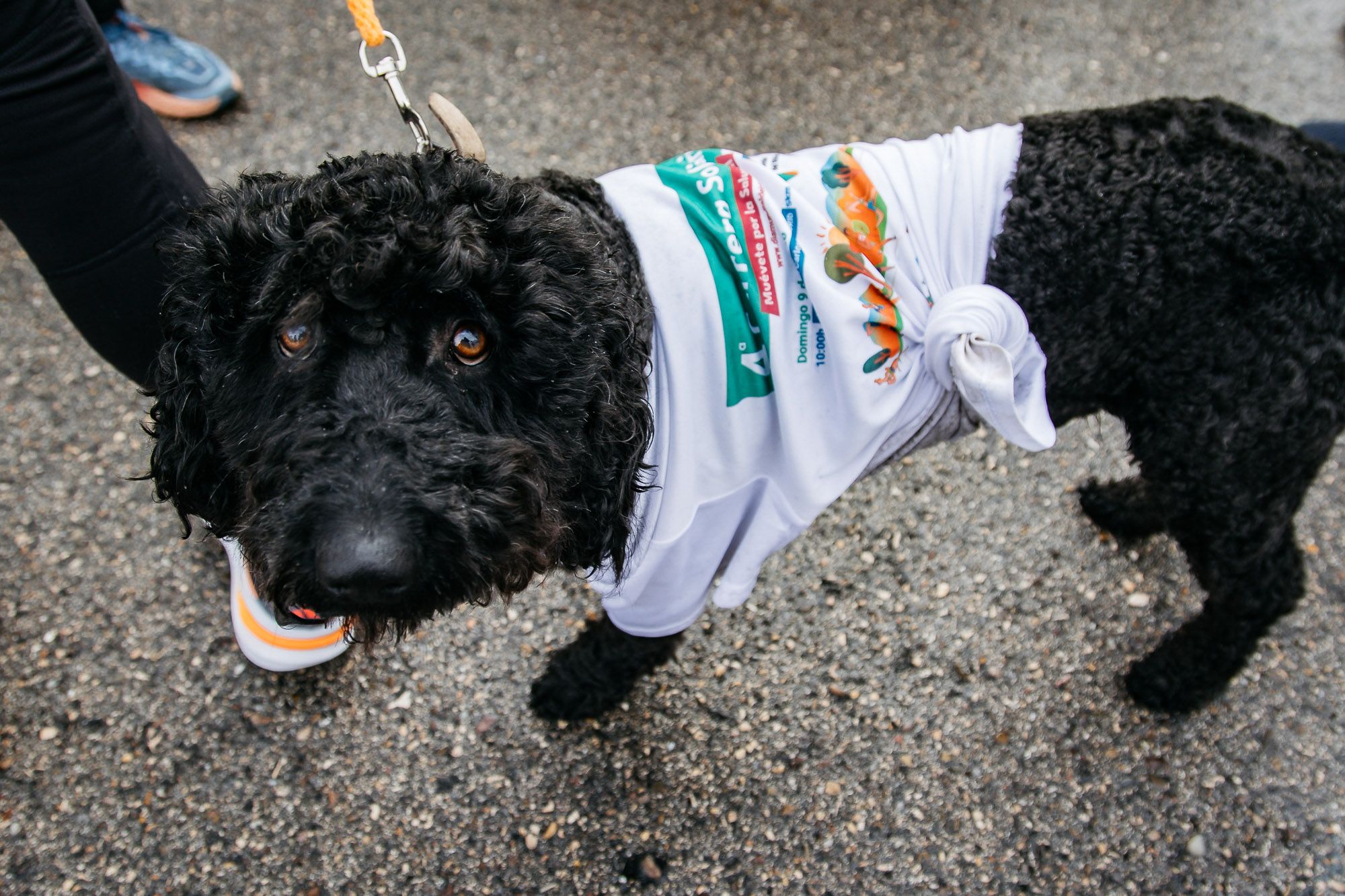 Carrera Solidaria %22Muévete por la Salud Renal%22 carrera salida y meta Late mi Lente 298