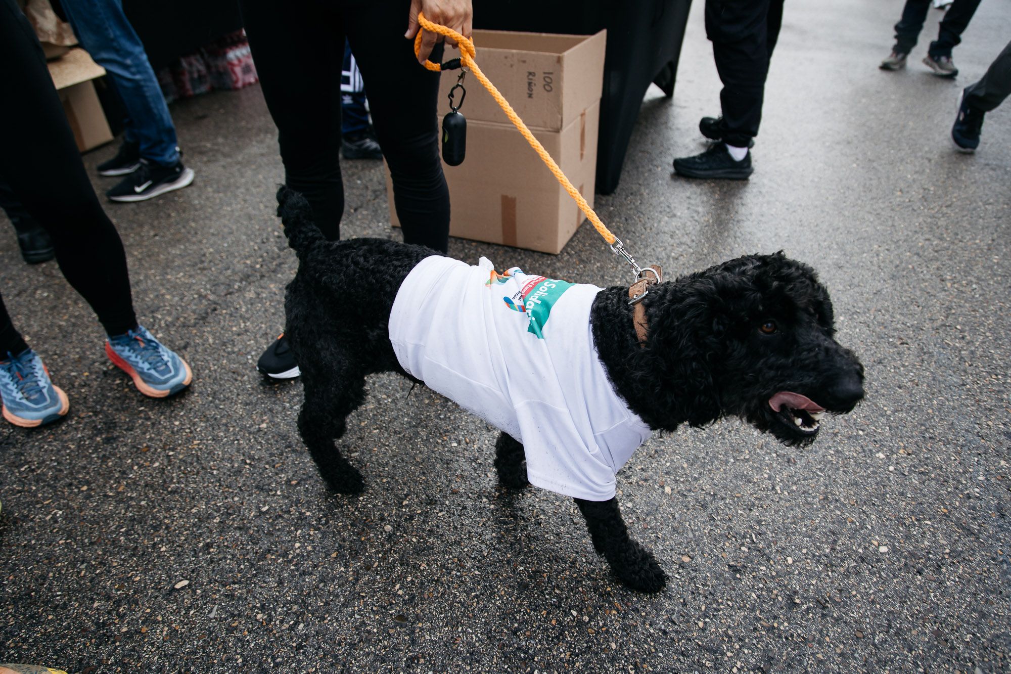 Carrera Solidaria %22Muévete por la Salud Renal%22 carrera salida y meta Late mi Lente 300