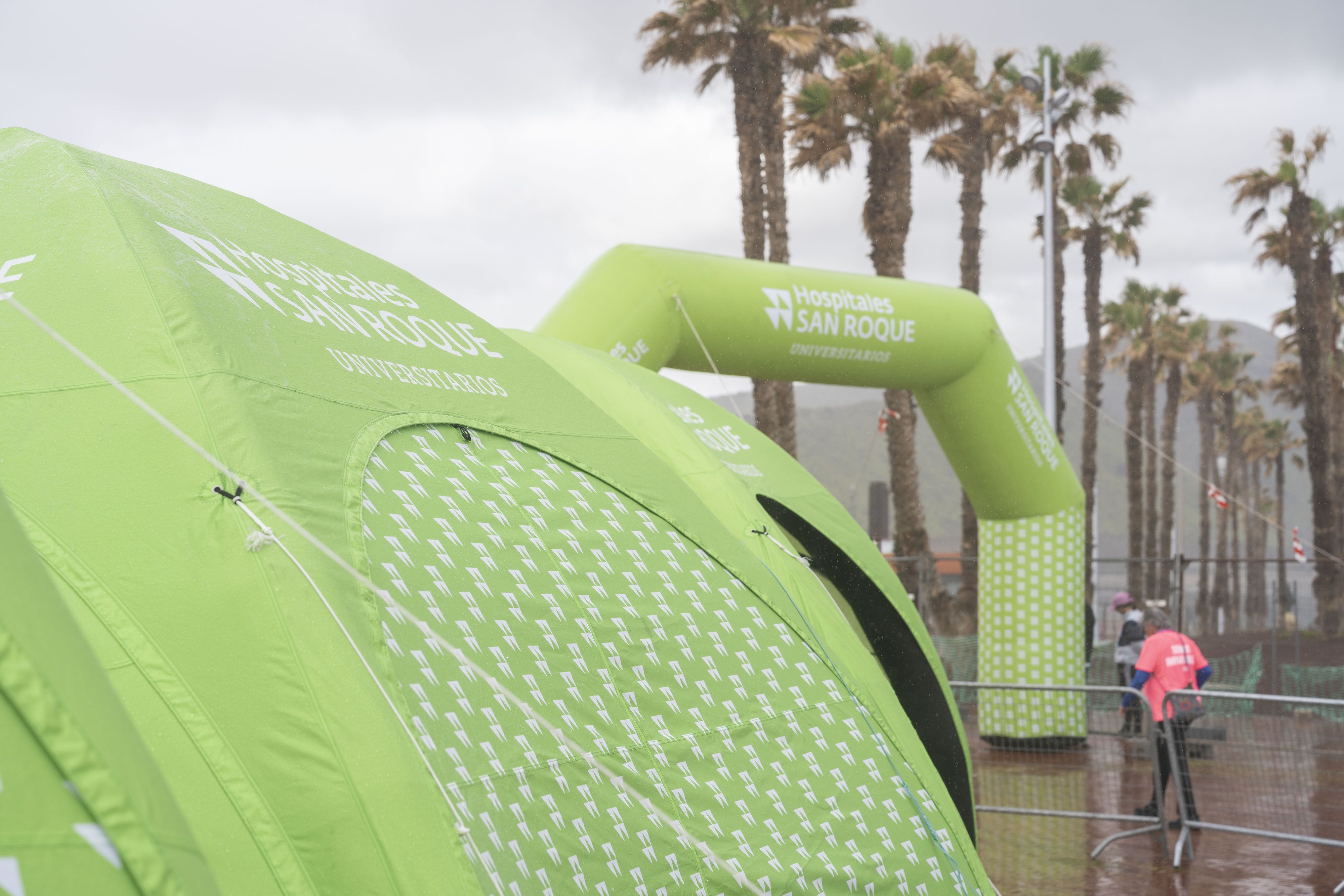 Las mejores fotos de la Carrera de la Mujer Central Lechera Asturiana de Gran Canaria 2026. Alex Basha   253