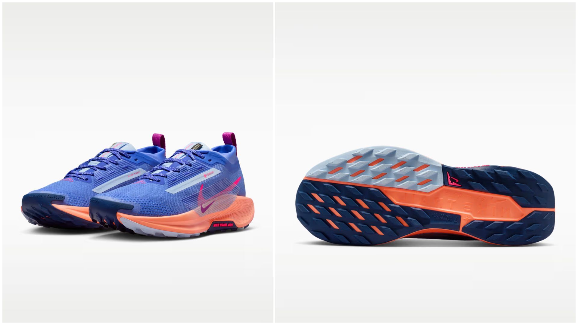 Nike Pegasus Trail 5 GORE TEX.