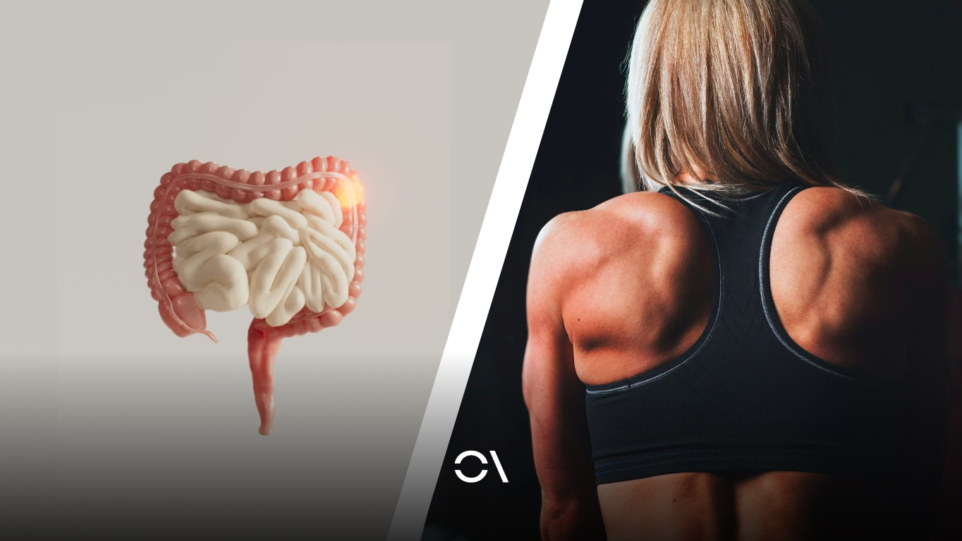 La bacteria intestinal que podría hacerte más fuerte sin pisar el gimnasio. UNSPLASH.