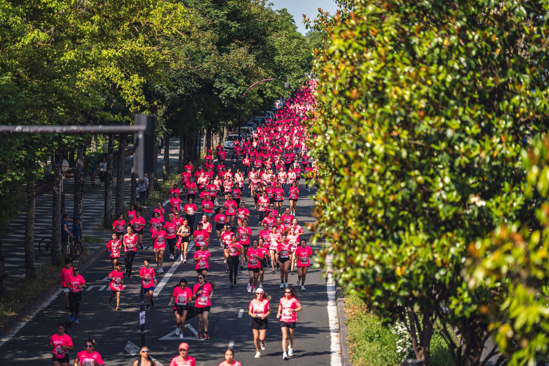 Las mejores fotos de la Carrera de la Mujer Central Lechera Asturiana de Vitoria Gasteiz 2026.  148258